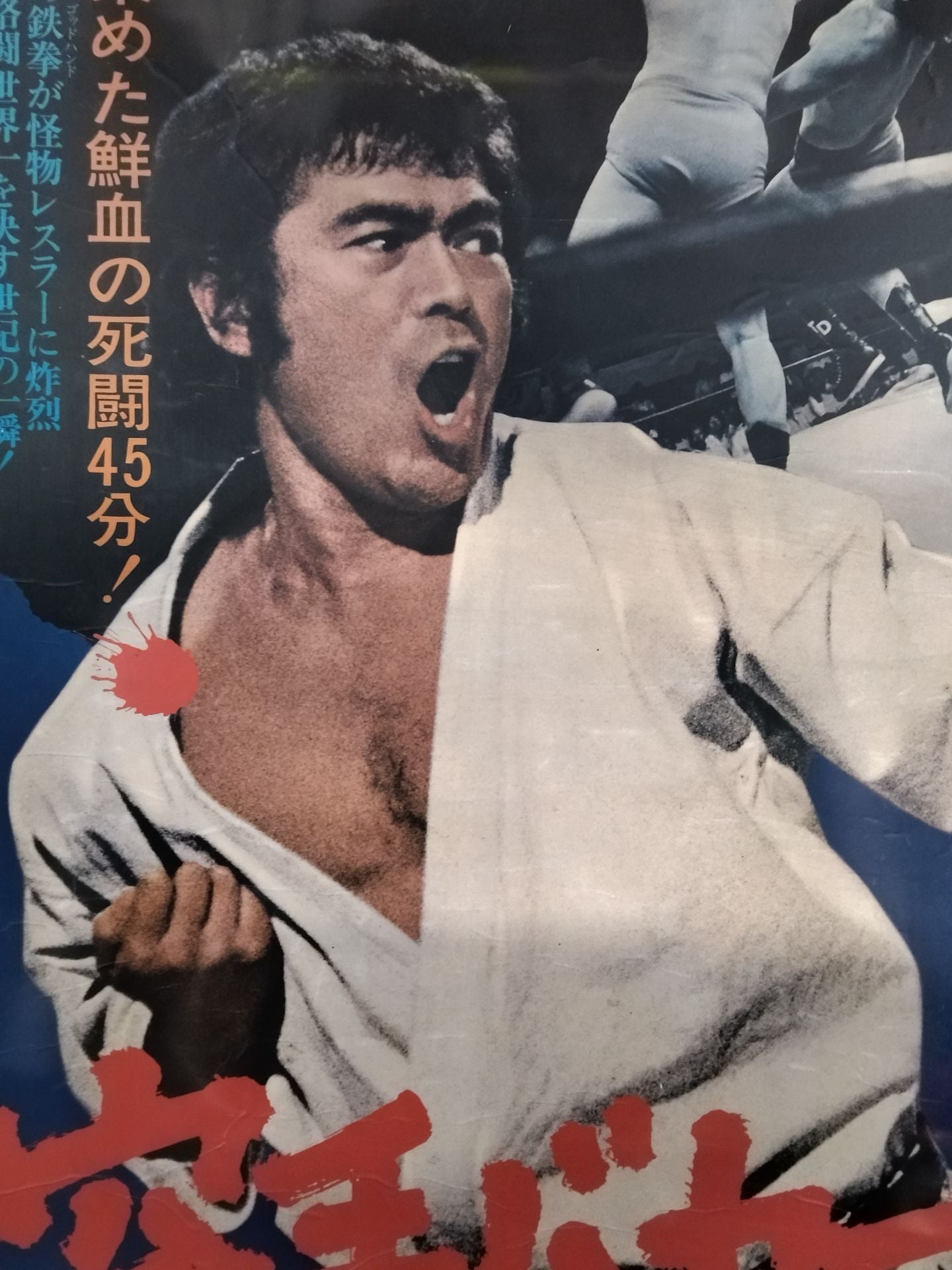 Movie Karate for Life (Karate Baka Ichidai) poster panel
