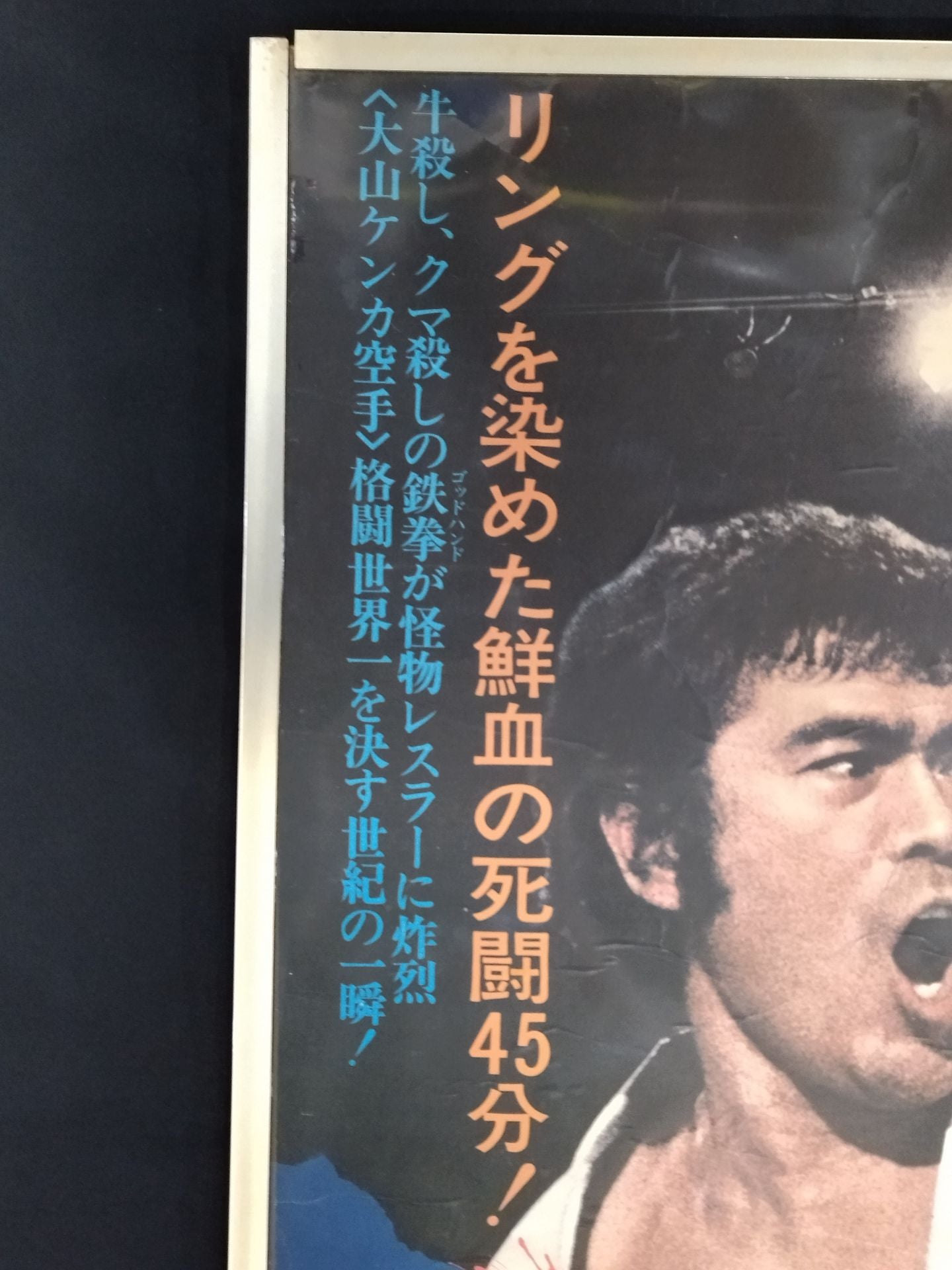 Movie Karate for Life (Karate Baka Ichidai) poster panel