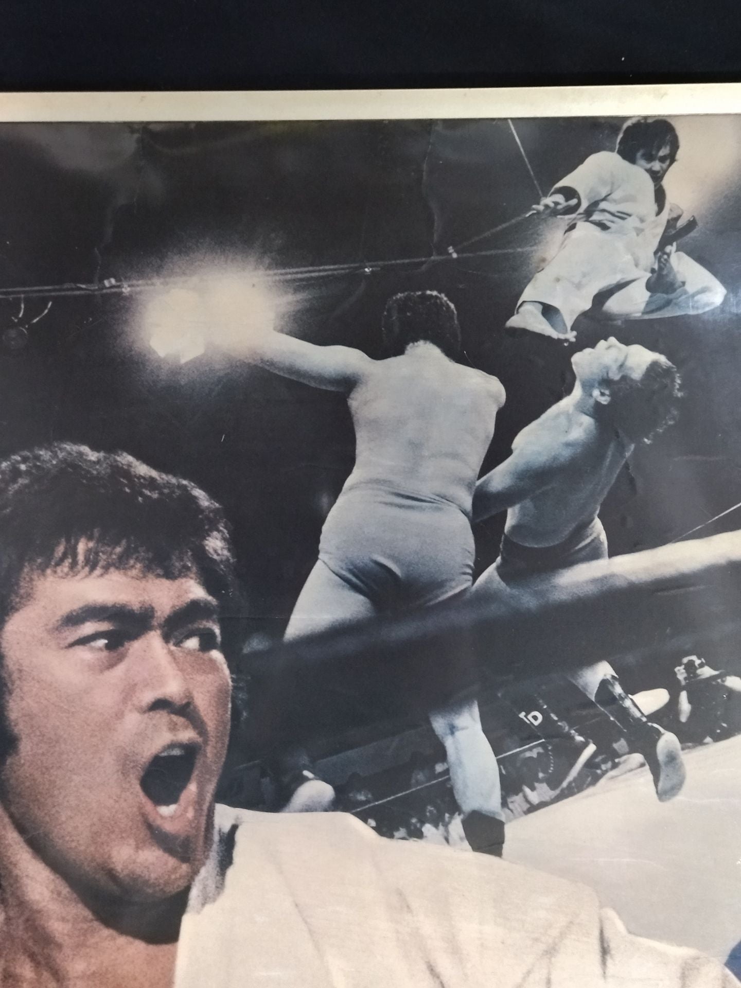 Movie Karate for Life (Karate Baka Ichidai) poster panel