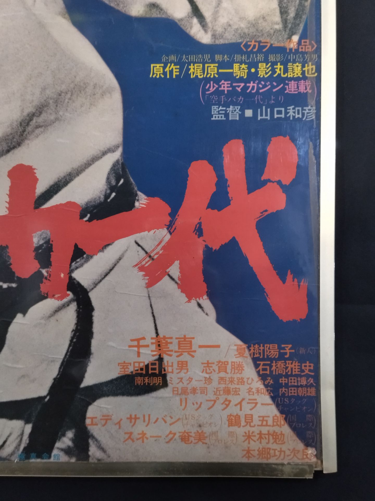 Movie Karate for Life (Karate Baka Ichidai) poster panel