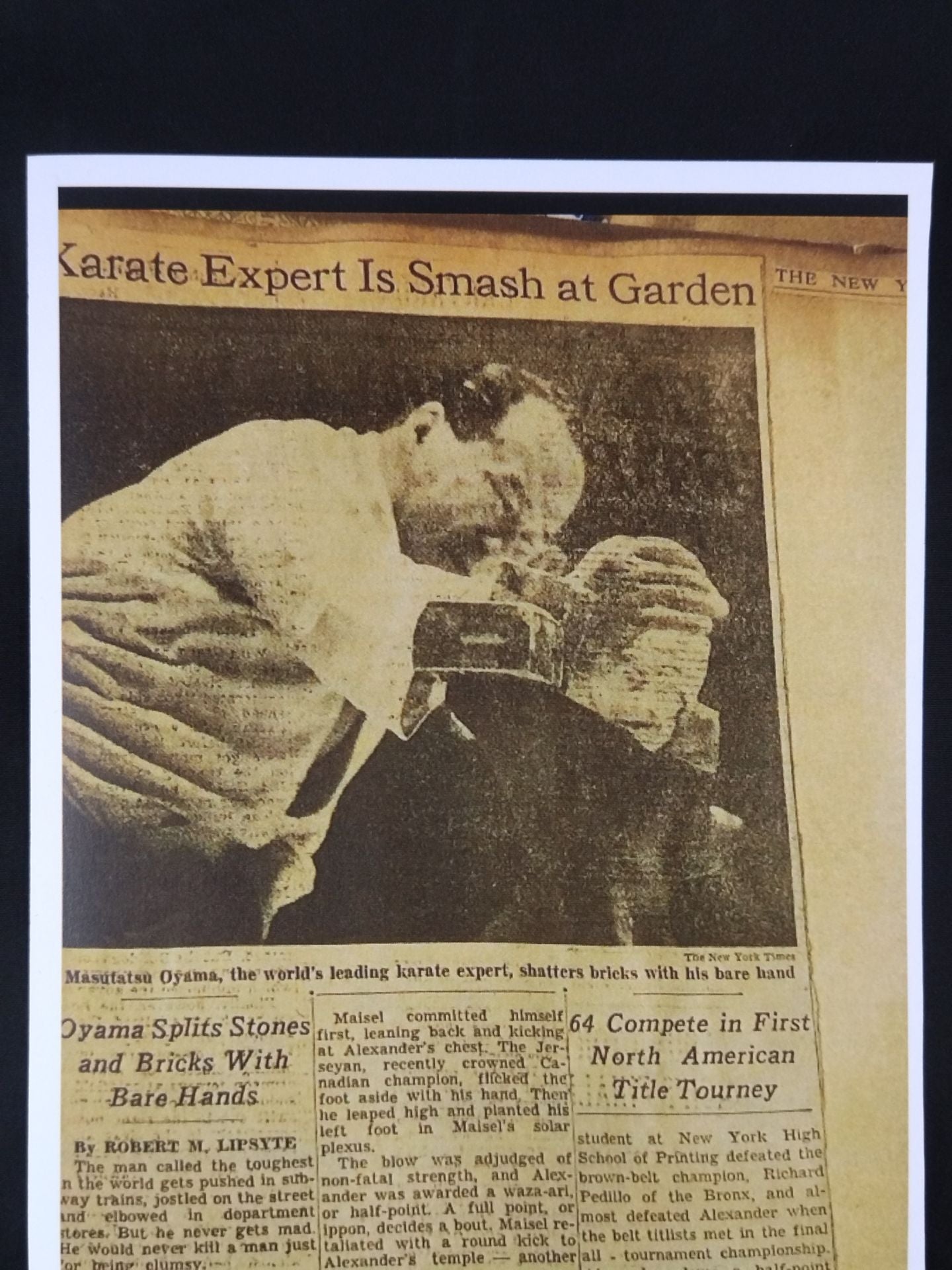 第1回北米空手道選手権大会 ポスターパネル