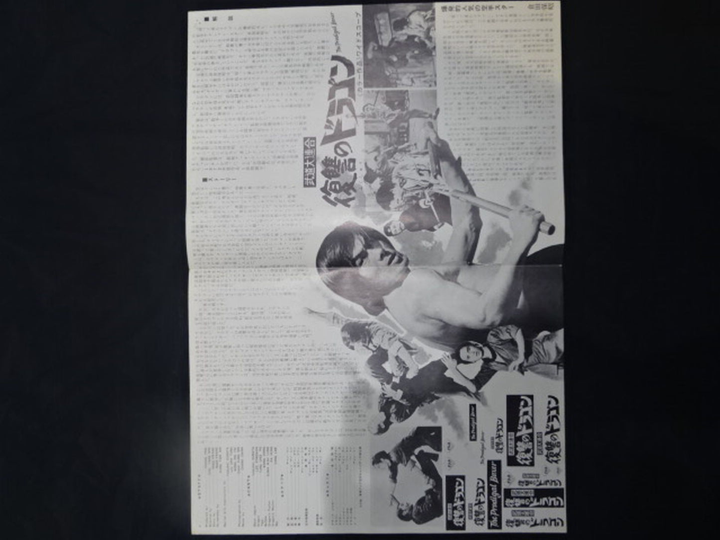 ★ Martial Arts Grand Union ★ Dragon of Vengeance Press Sheet