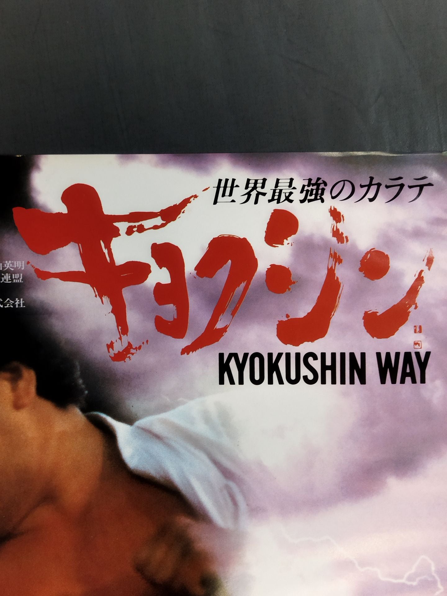 The World's Strongest KARATE Kyokushin WAY
