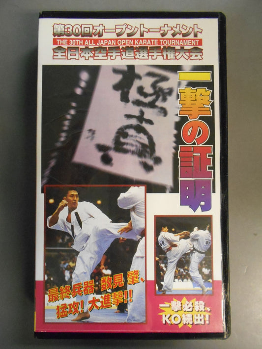 一撃の証明 第30回オープントーナメント全日本空手道選手権大会