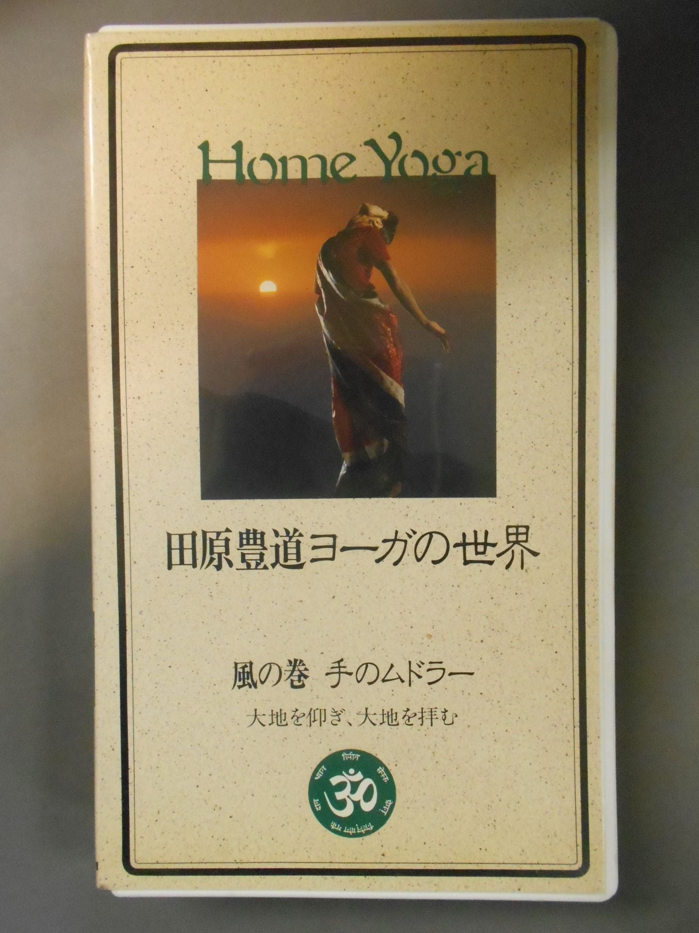 田原豊道ヨーガの世界 風の巻 手のムドラー