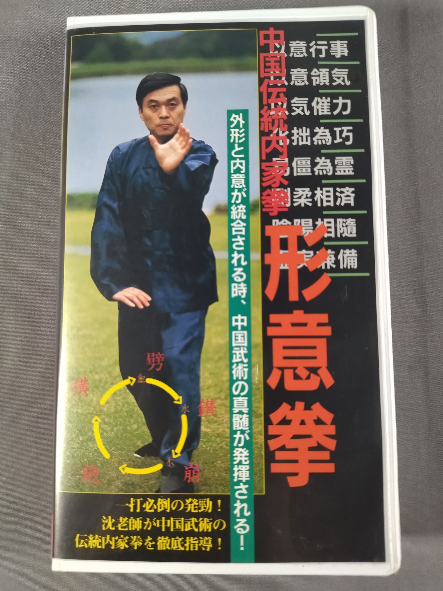 中国伝統内家拳 形意拳