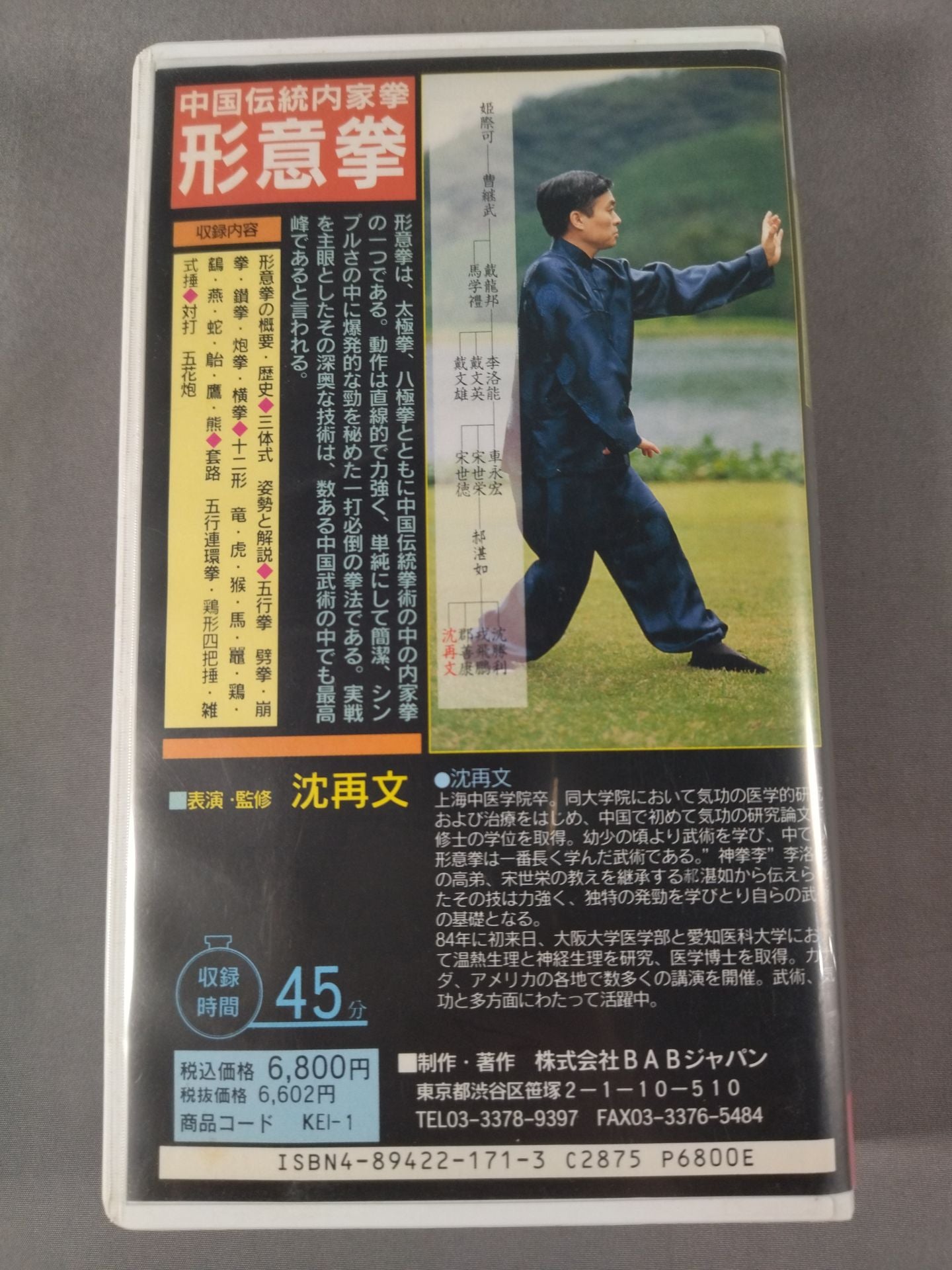 中国伝統内家拳 形意拳