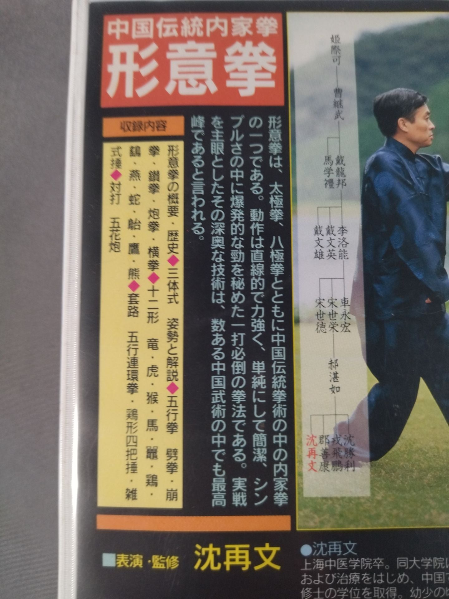 中国伝統内家拳 形意拳