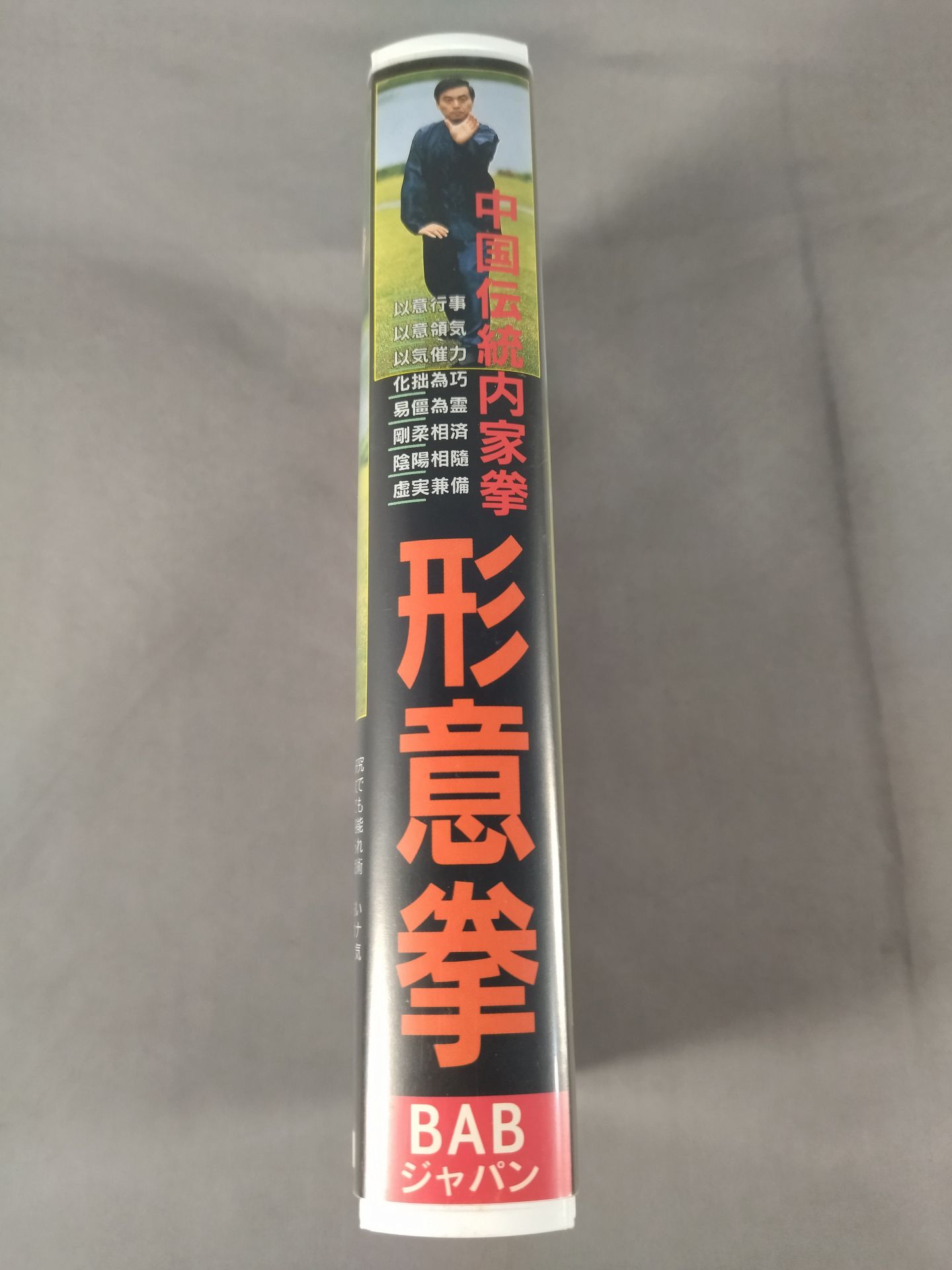 中国伝統内家拳 形意拳