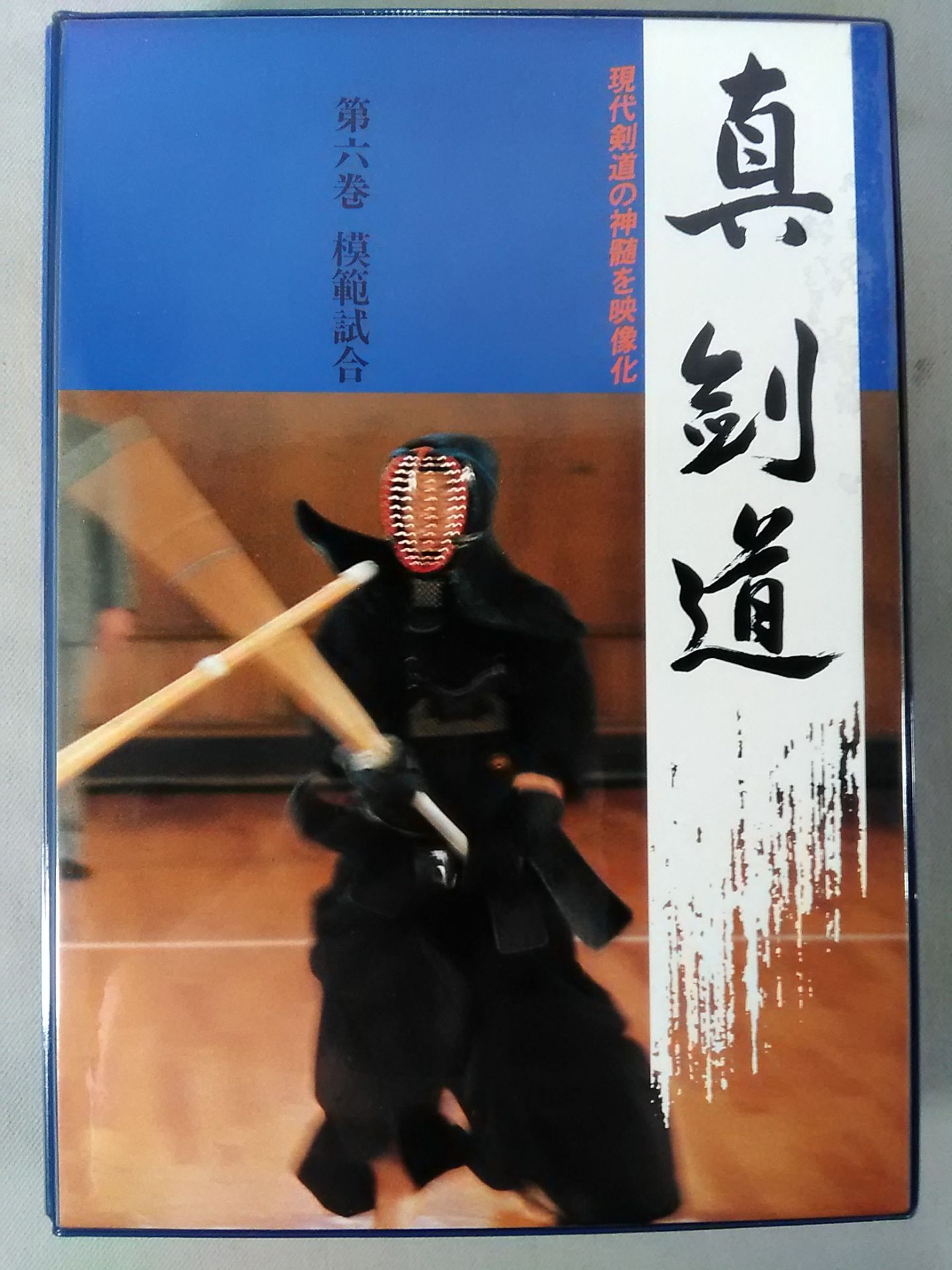 真・剣道 第六巻 模範試合