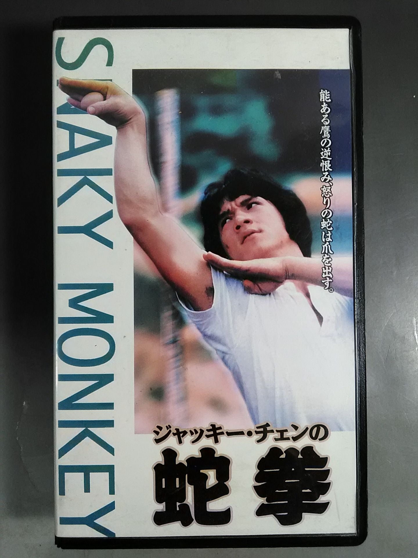 Jackie Chan's Snake Fist