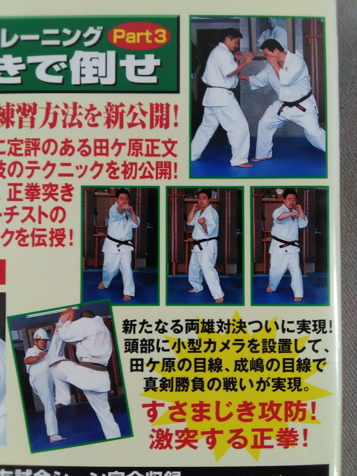 Kumite / Image Training Part3 Defeat with a Straight Fist Thrust