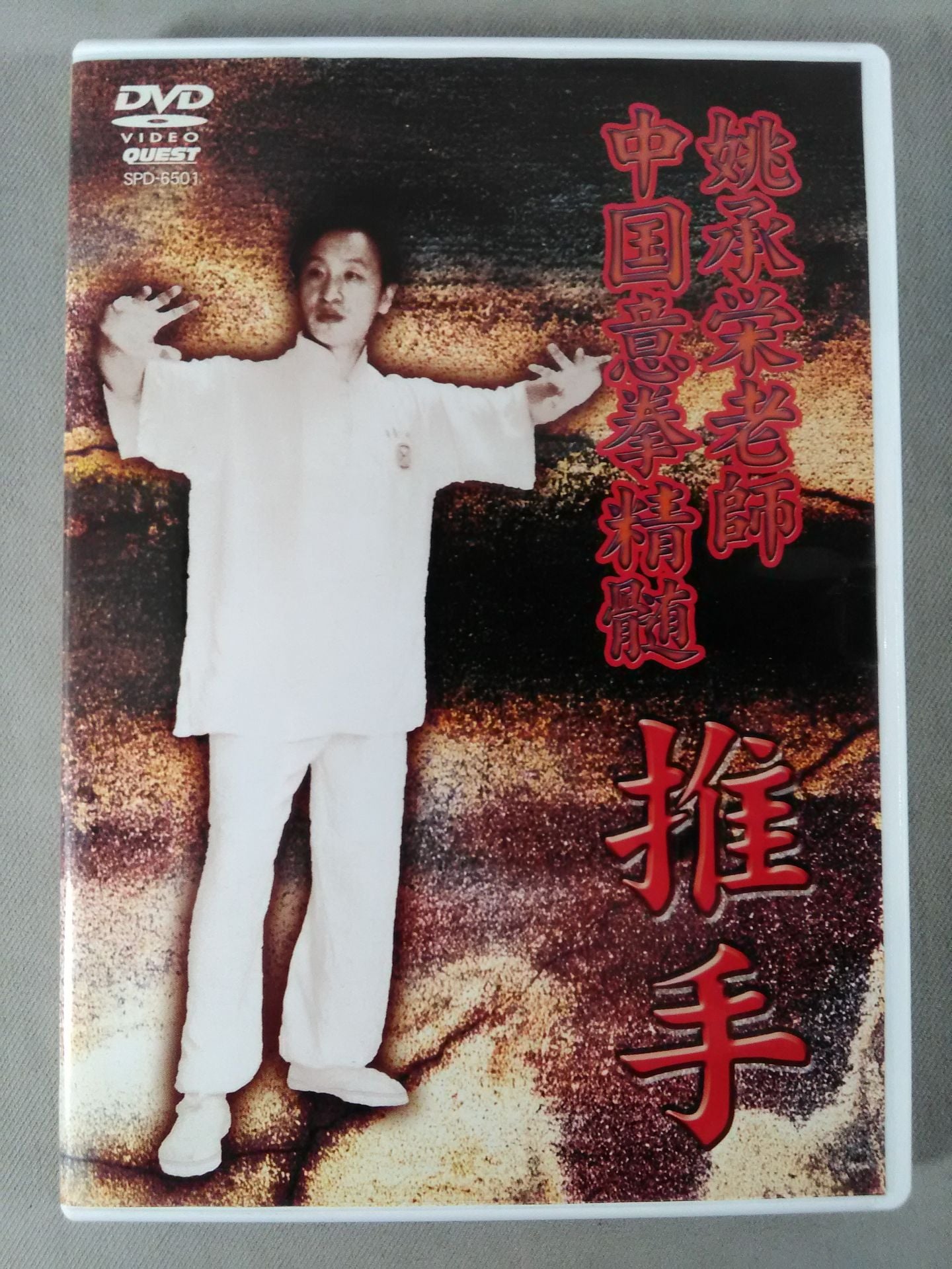 姚承栄老師 中国意拳精髄 推手