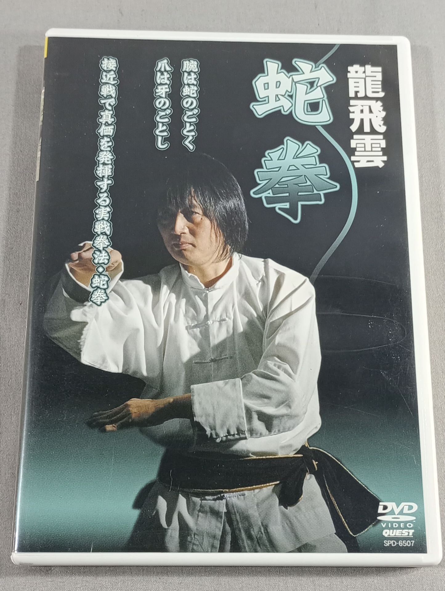 Ryu Feiyun Snake Fist