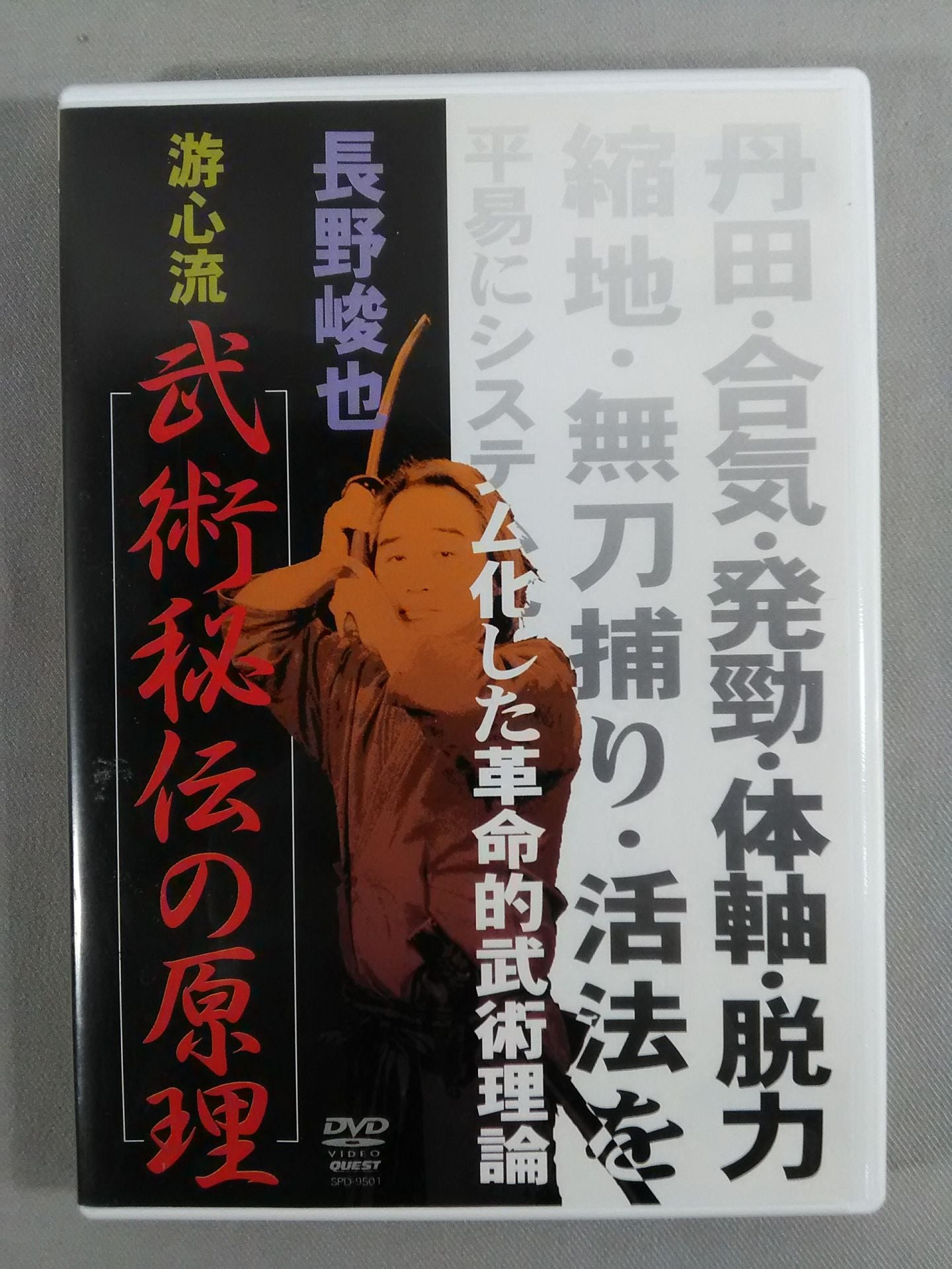 長野峻也 游心流 武術秘伝の原理