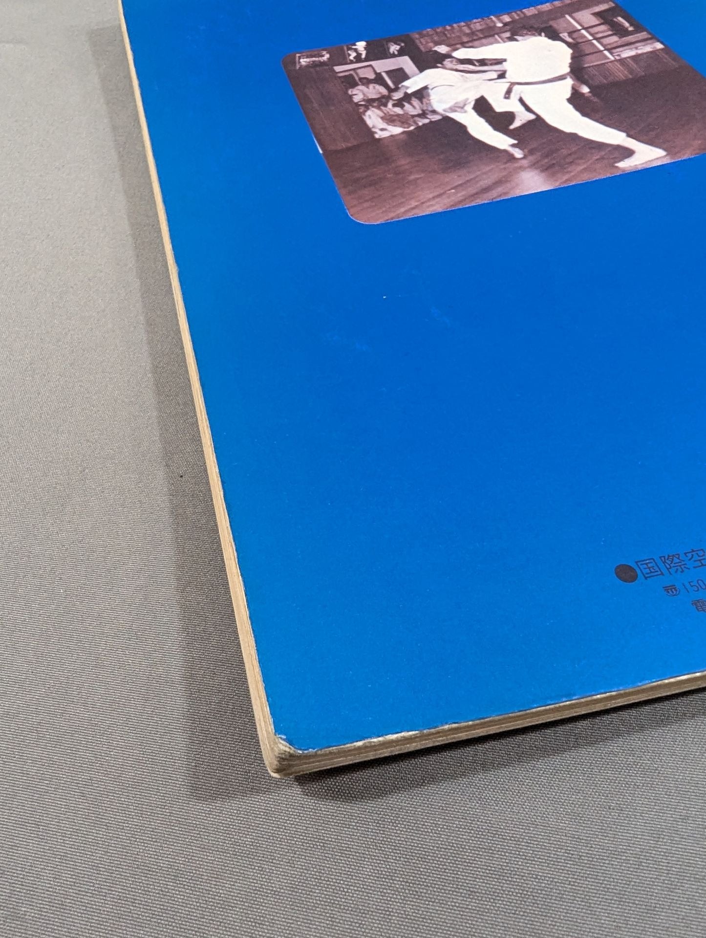 極真カラテ1 / 国際空手道 マス大山カラテスクール 空手通信講座