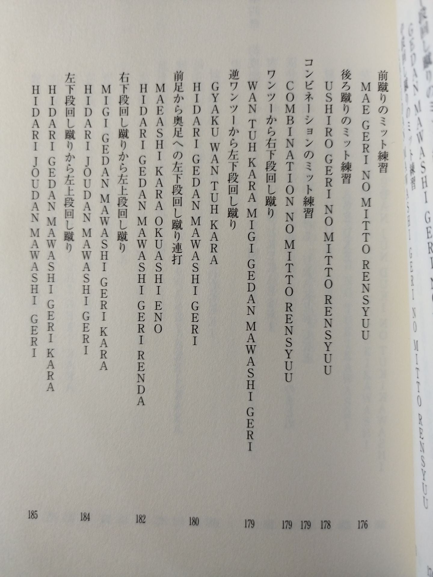 【DVD付】カラテ革命家「浜井識安」極真新理論