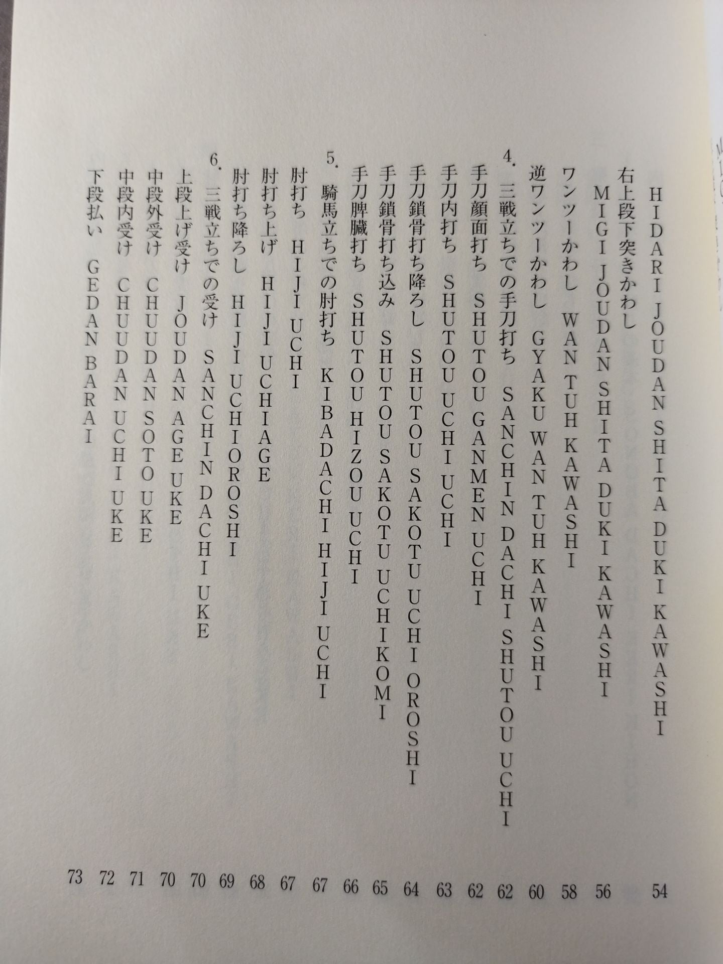 【DVD付】カラテ革命家「浜井識安」極真新理論