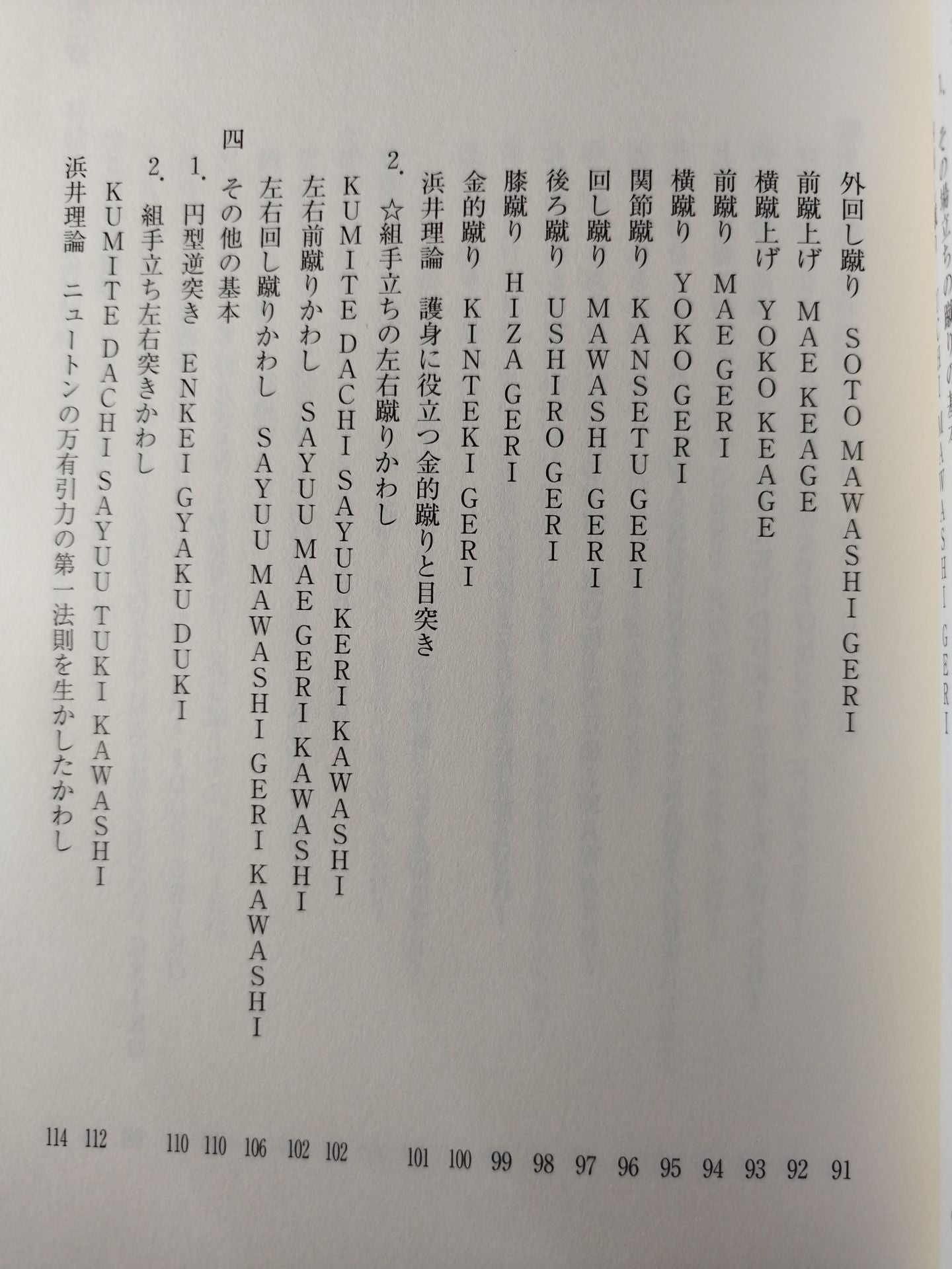 【DVD付】カラテ革命家「浜井識安」極真新理論