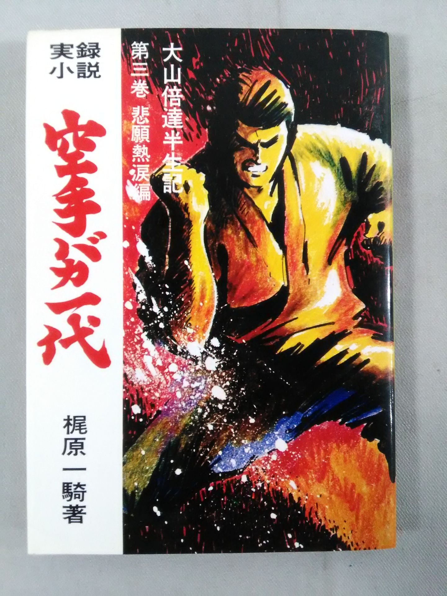 True Crime Novel Karate for Life (Karate Baka Ichidai) Volume 3