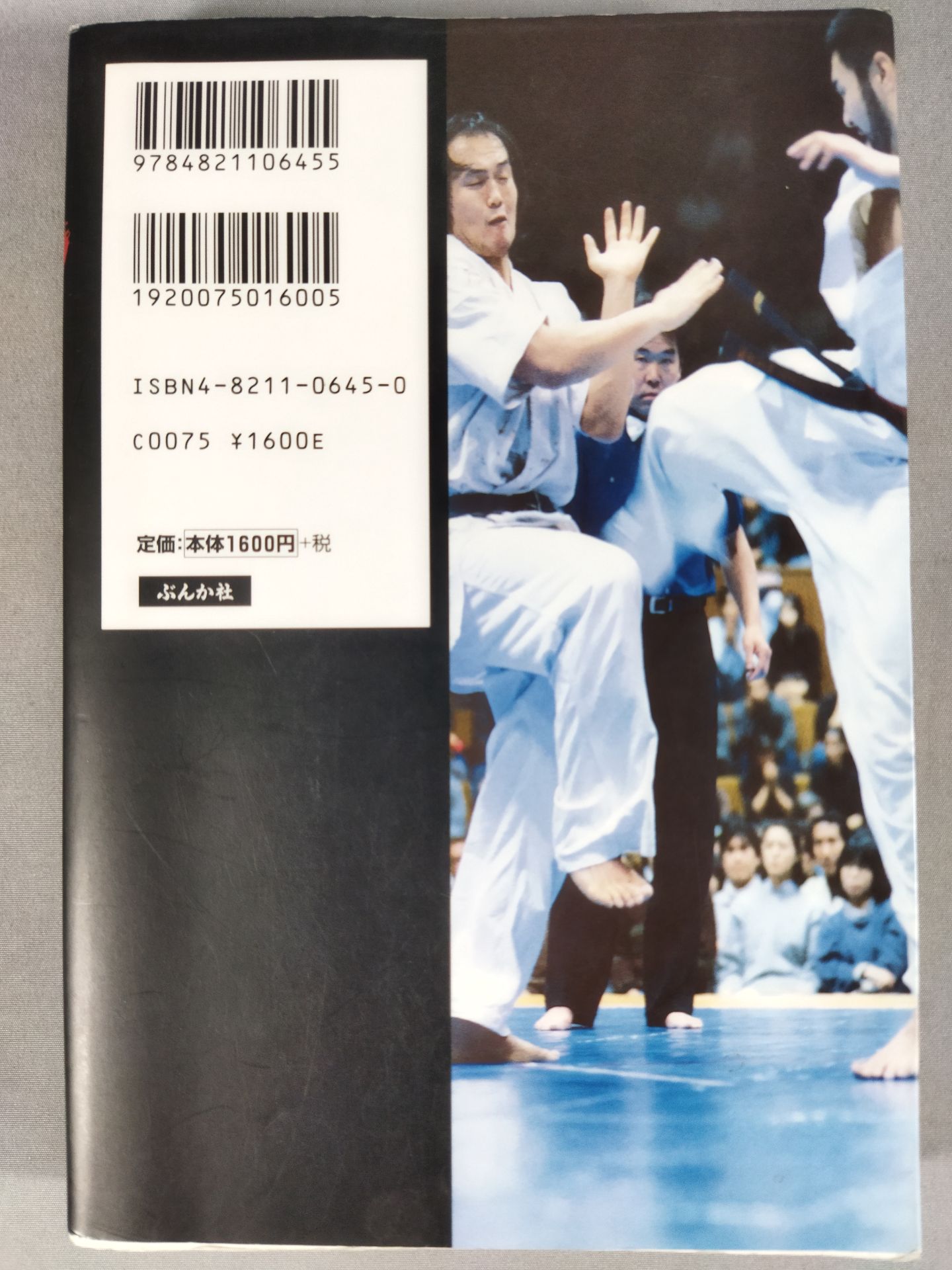 Kyokushin KARATE The Challenge of the Fierce