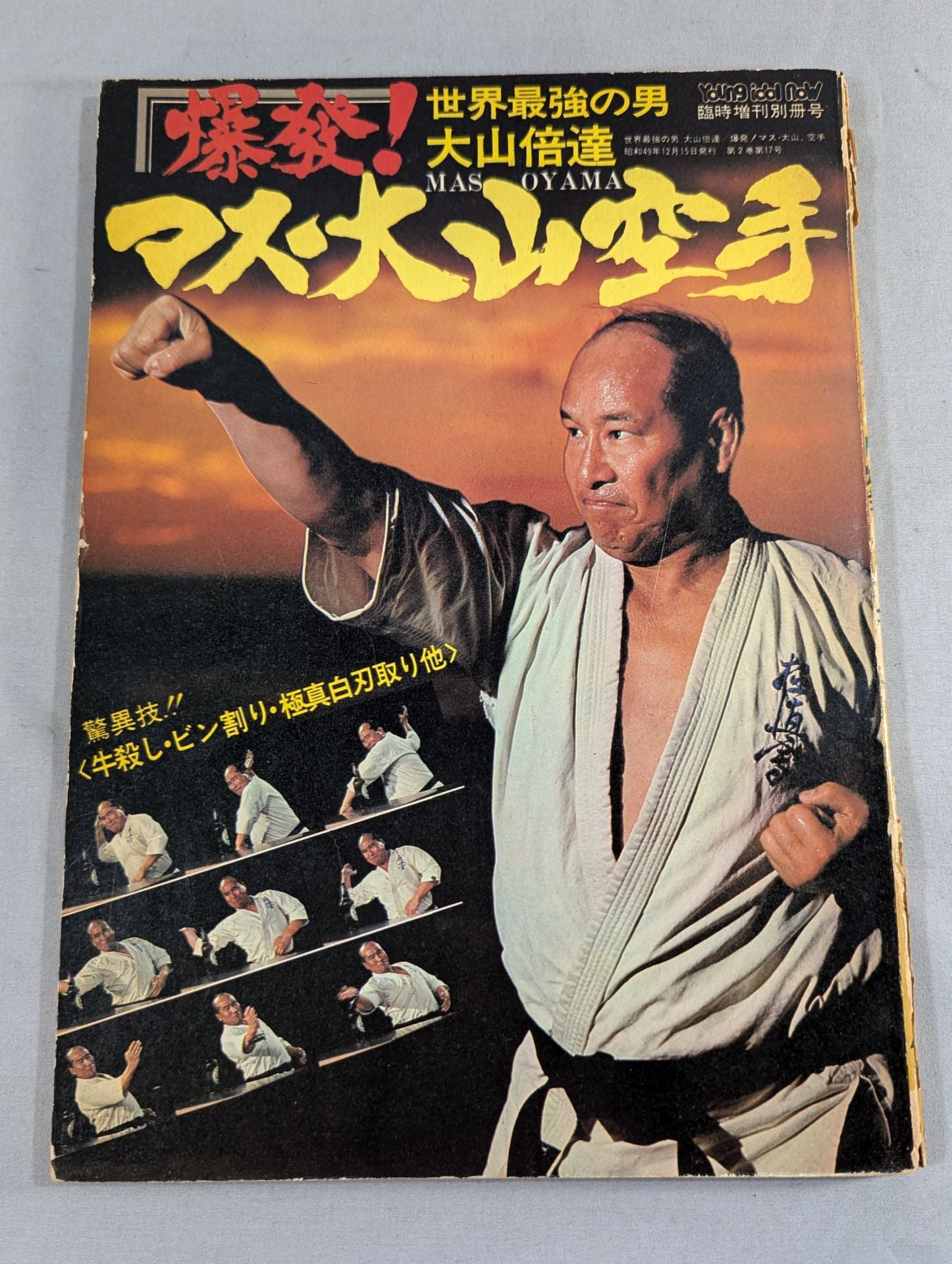 マス大山 伝承 極真空手 DVD全2巻セット 大山倍達 Amazon.co.jp: マス大山 伝承 極真空手 入門篇 [DVD] : 藤岡弘