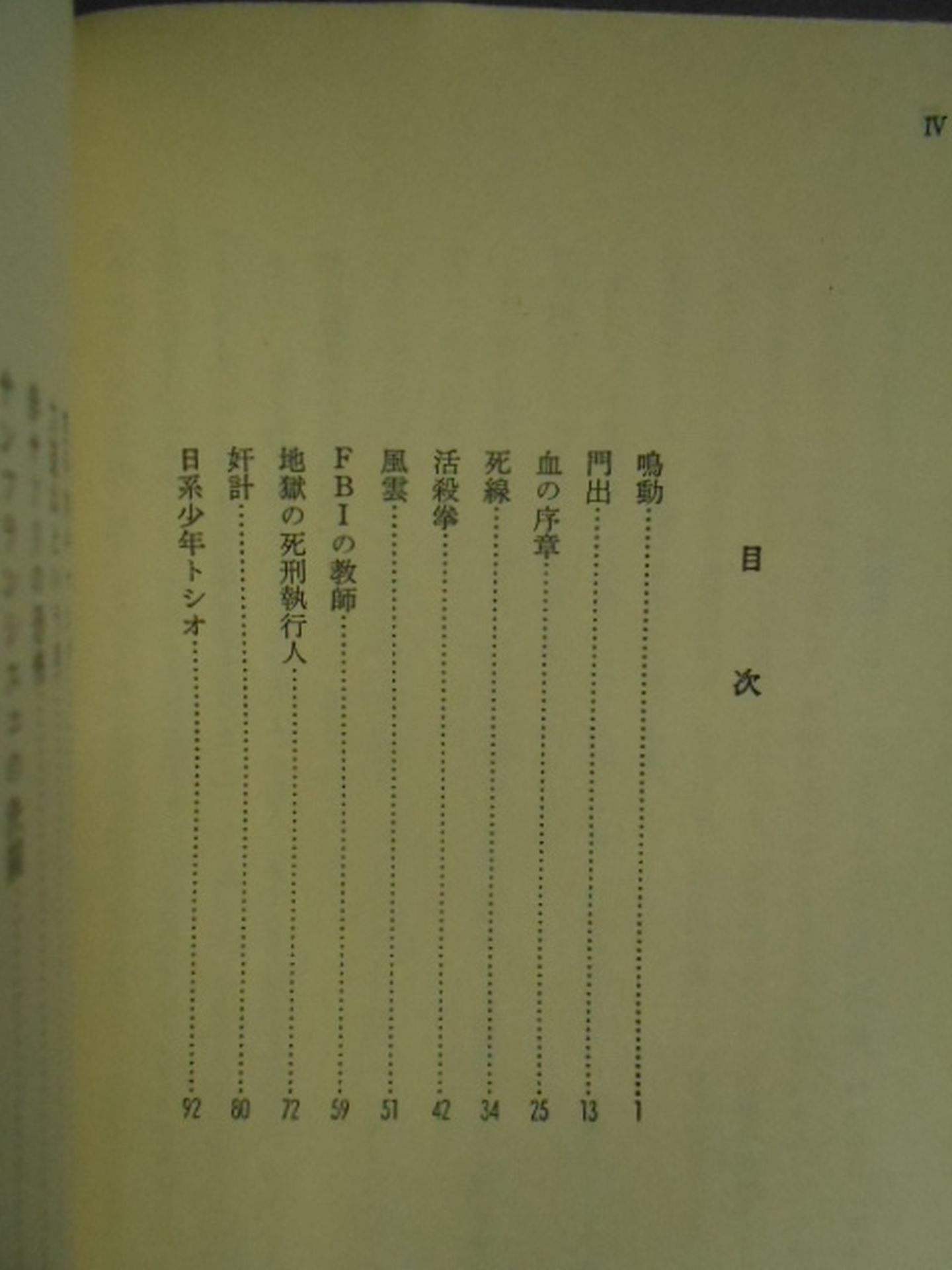 True Crime Novel Karate for Life (Karate Baka Ichidai) Volume 2 Infinite Blood Fight
