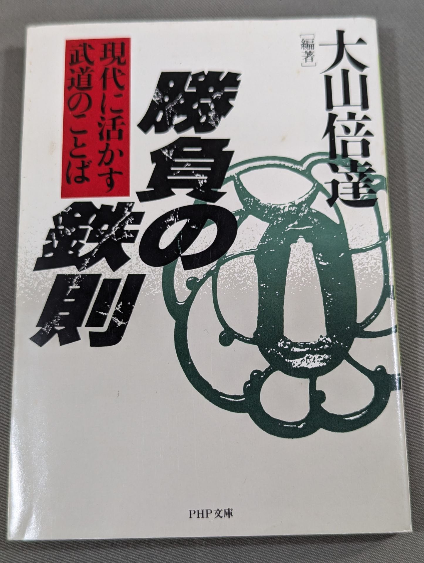 The Iron Rule of Victory: Words of Martial Arts for Modern Times