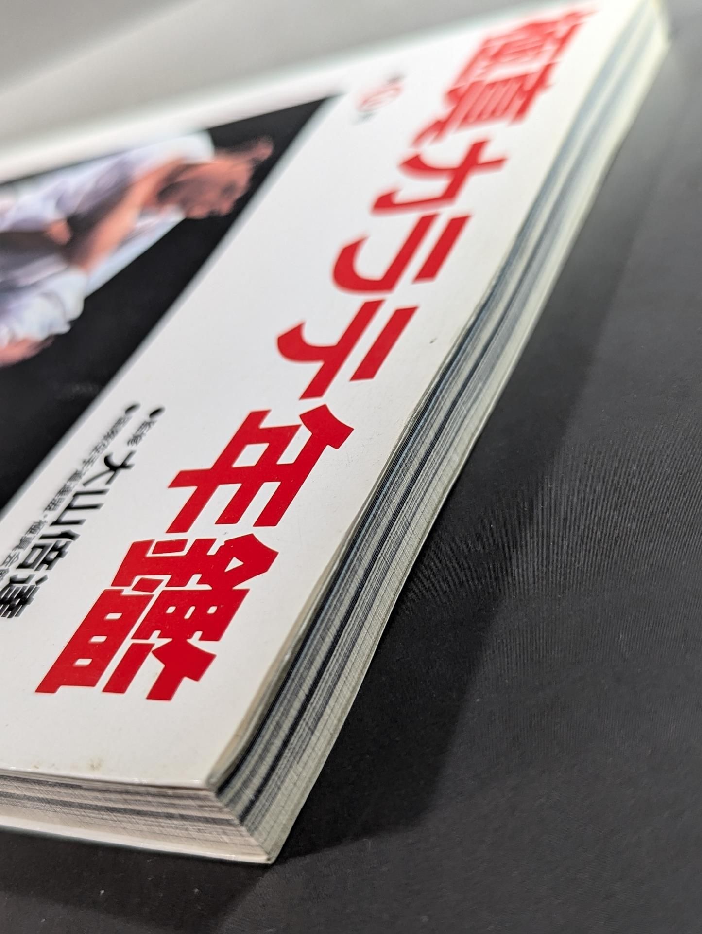 Kyokushin KARATE Yearbook No. 10 Kyokushin Spirit, Be Eternal