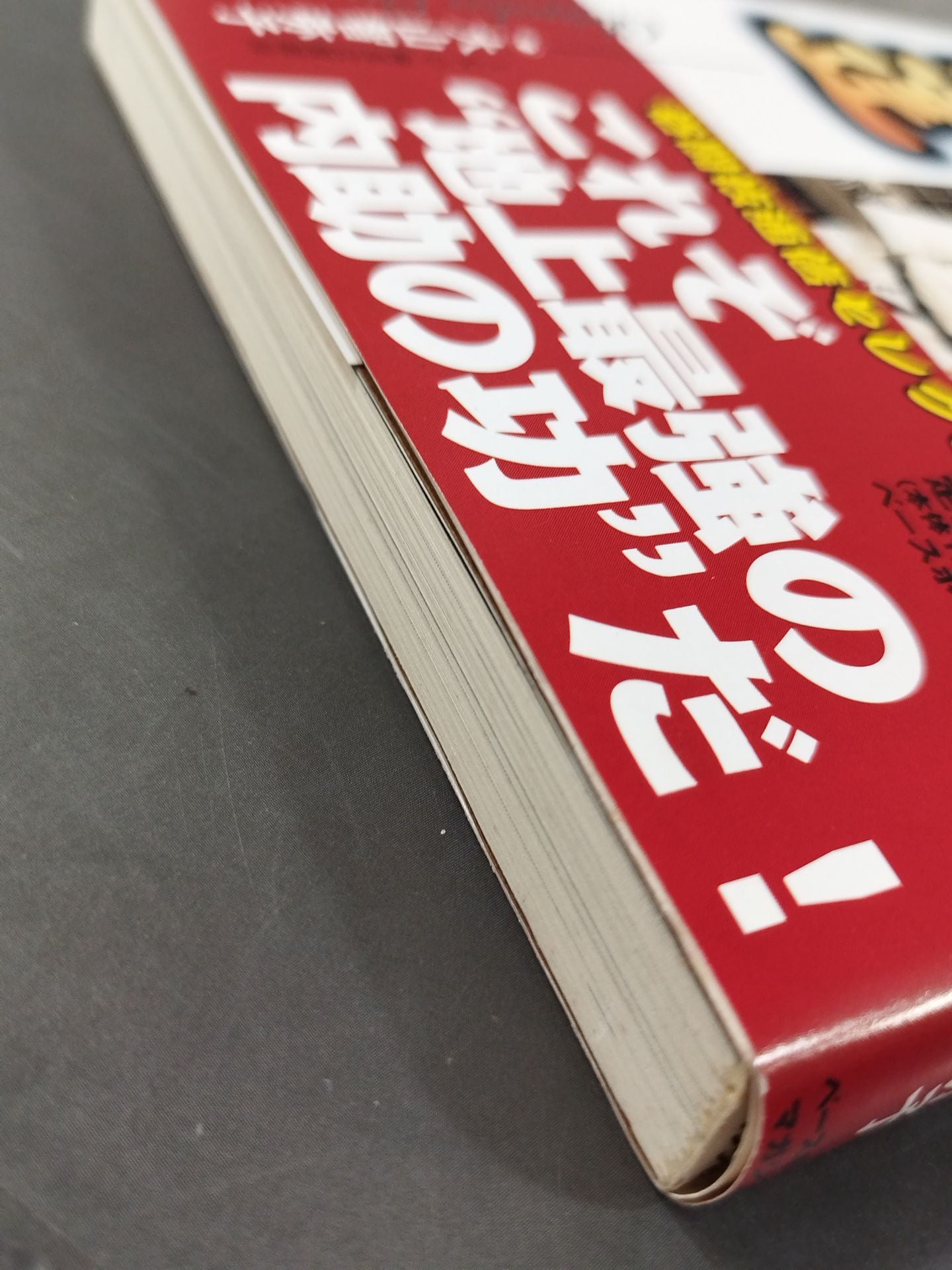 わが夫、大山倍達