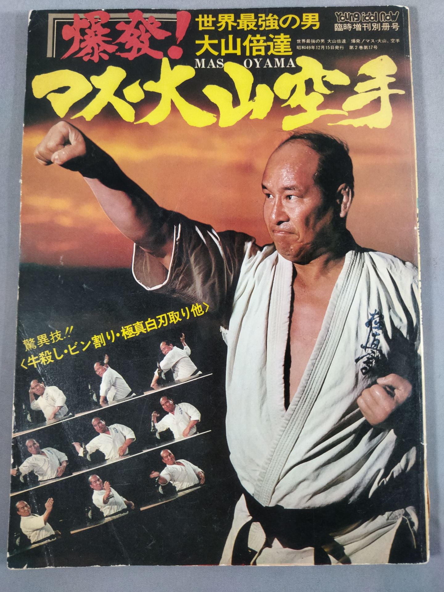 活動歴および当時の関連ビジュアル記録