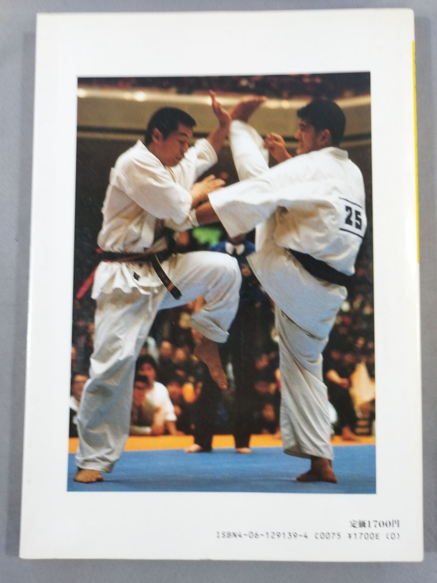 Kyokushin KARATE Yearbook No. 9 I saw it! The essence of Kyokushin