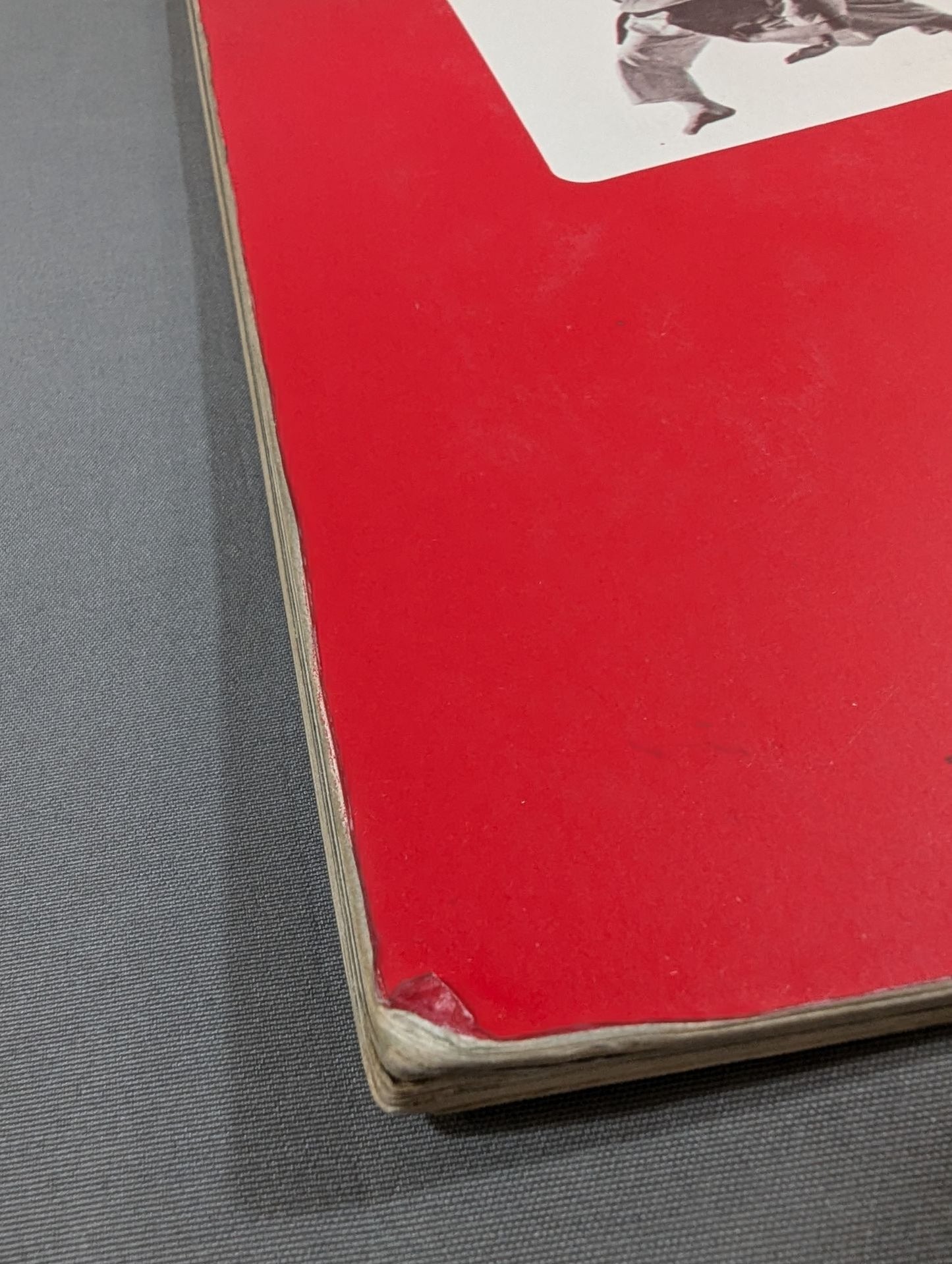 極真カラテ3 / 国際空手道 マス大山カラテスクール 空手通信講座