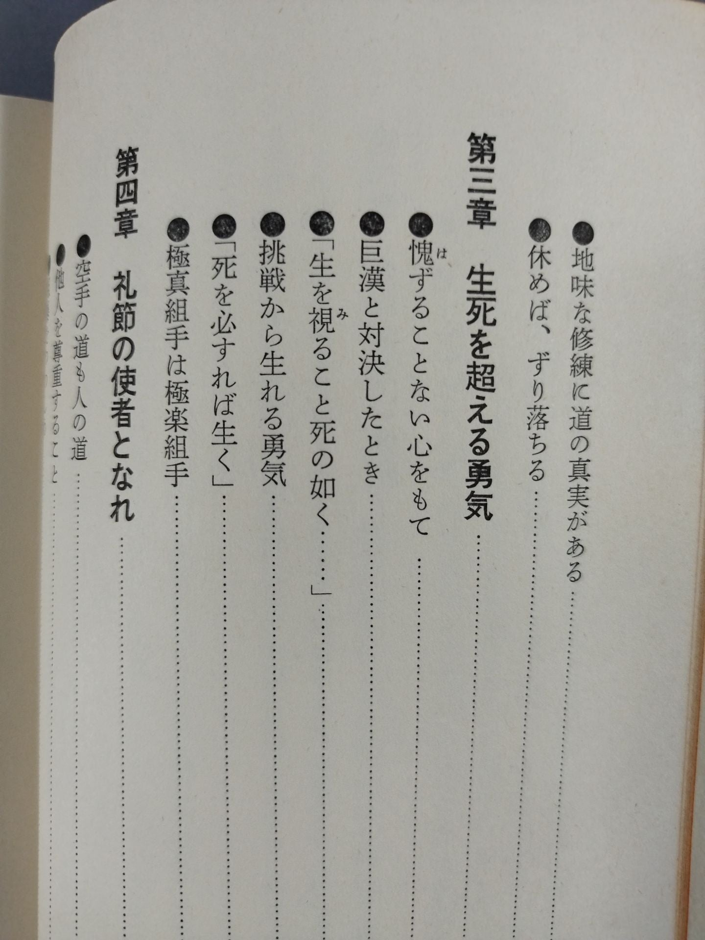 The Road to Kyokushin My KARATE Philosophy
