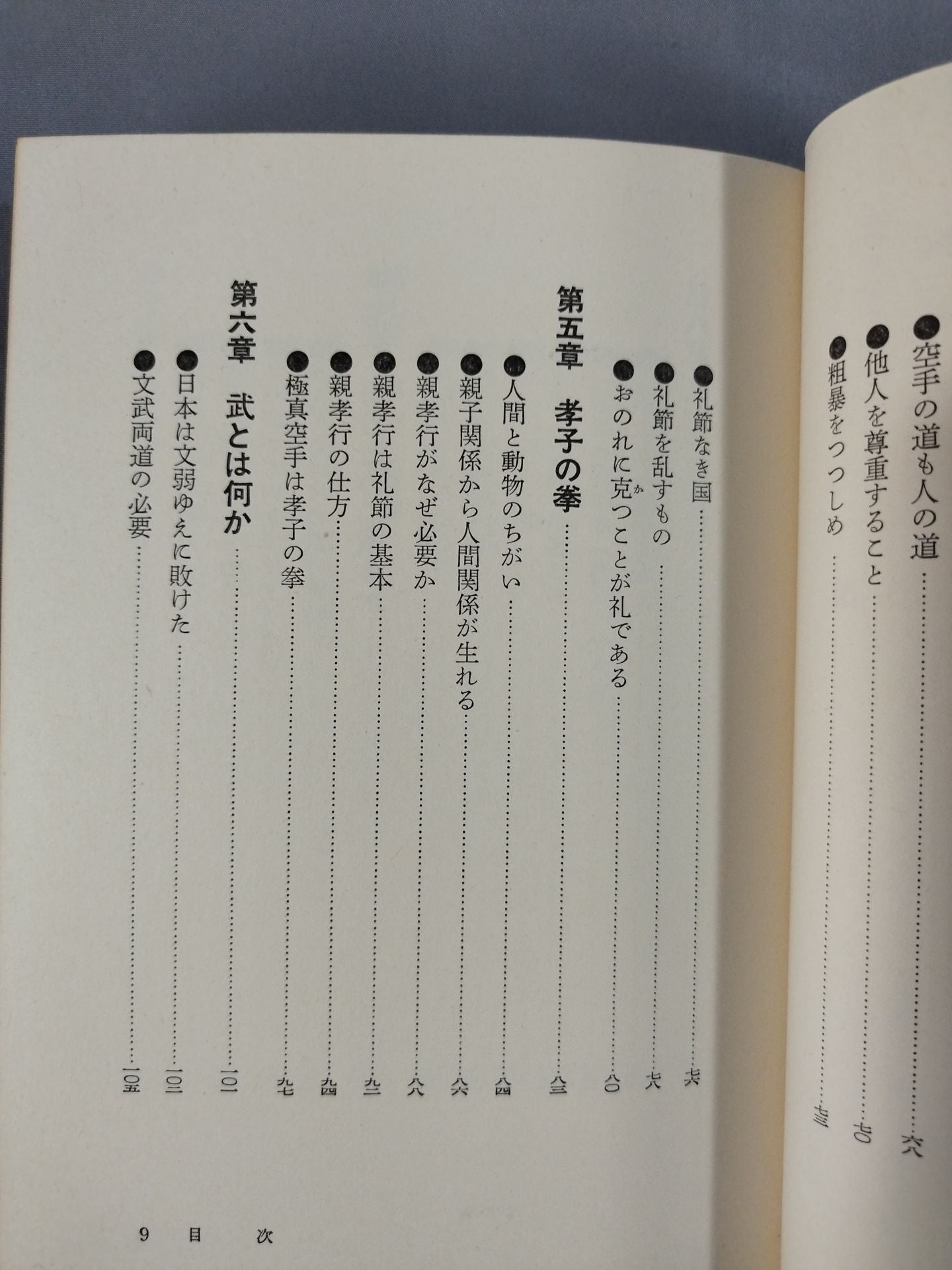 The Road to Kyokushin My KARATE Philosophy