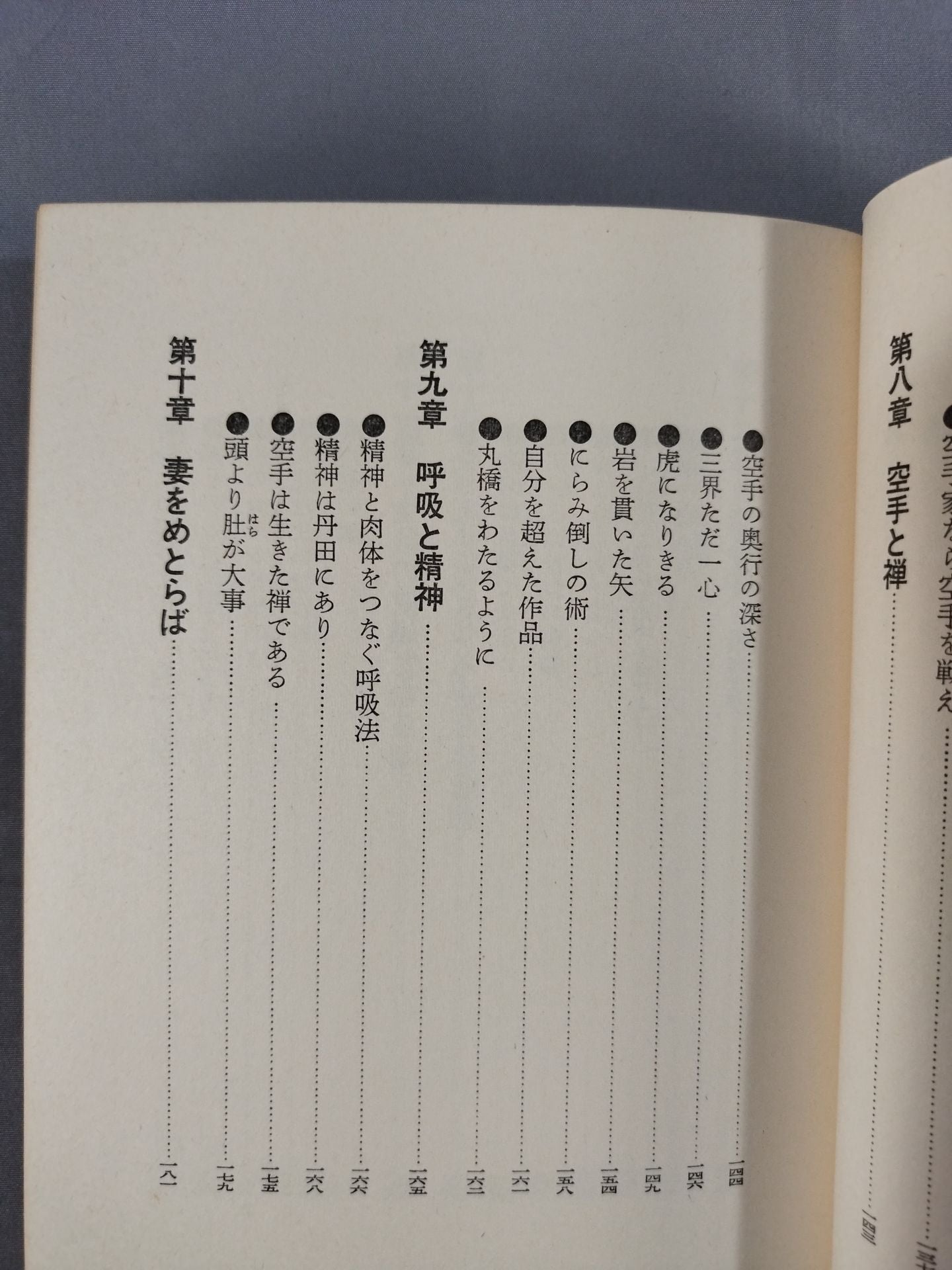 The Road to Kyokushin My KARATE Philosophy