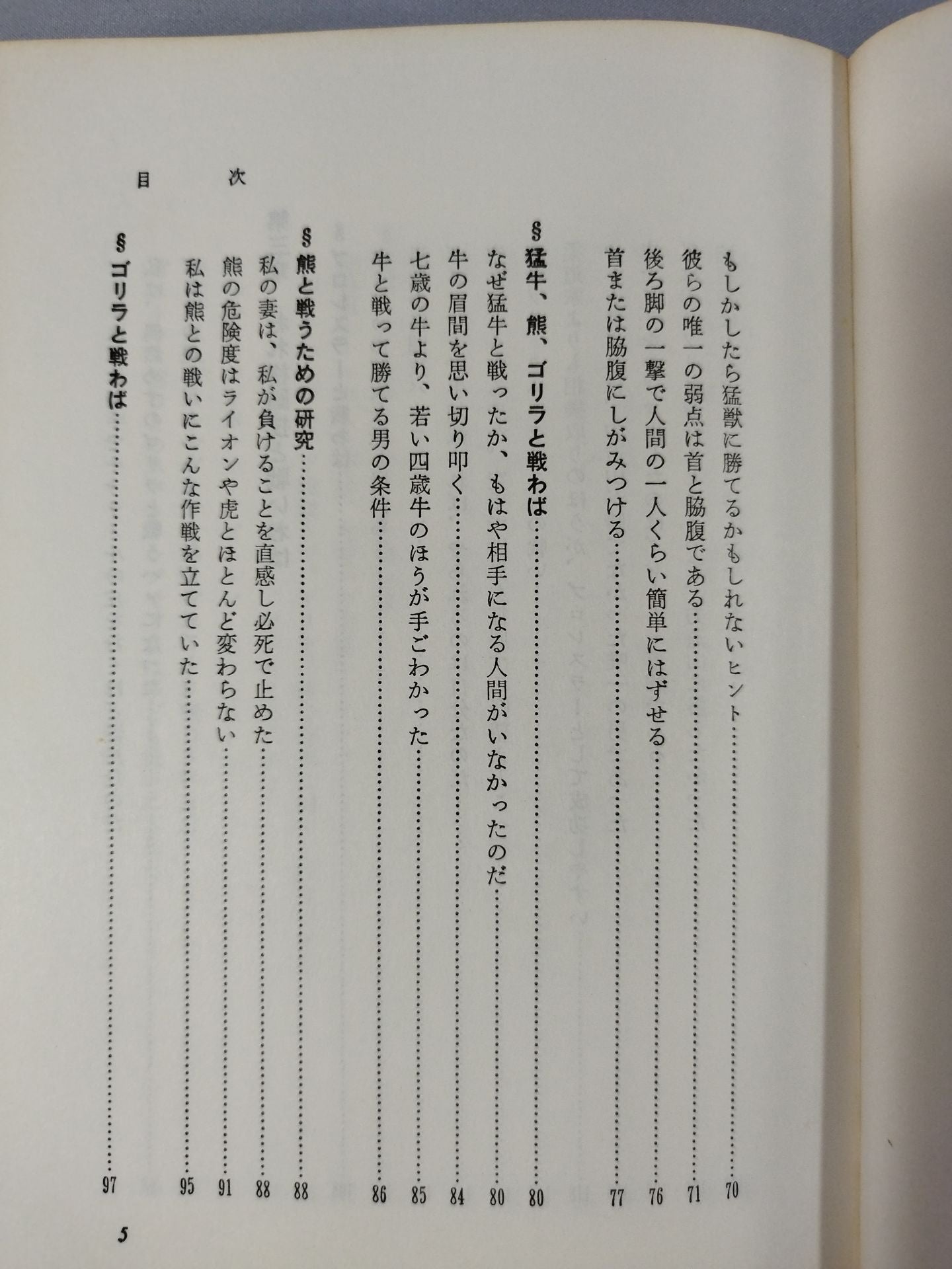 大山カラテもし戦わば