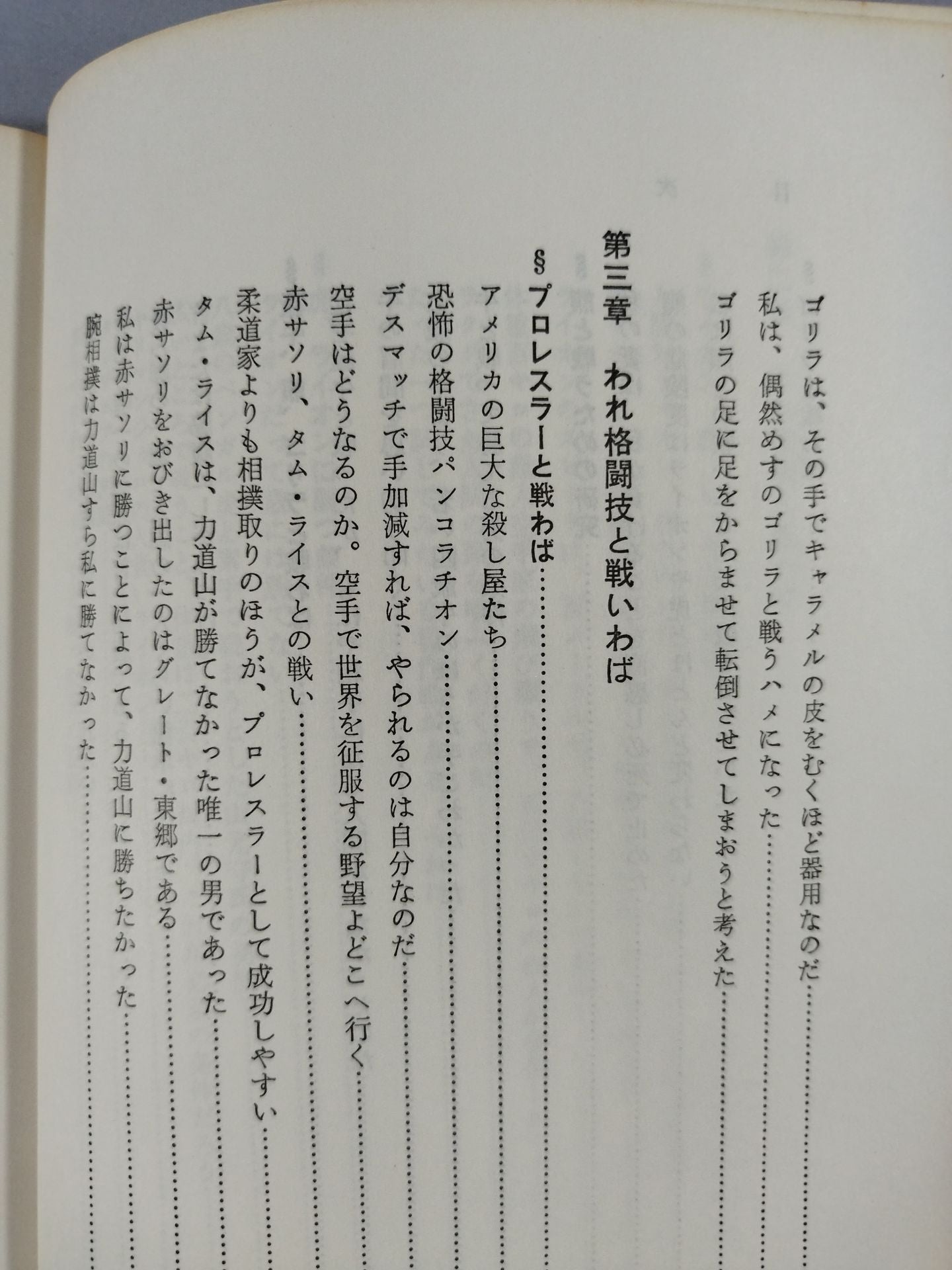 大山カラテもし戦わば