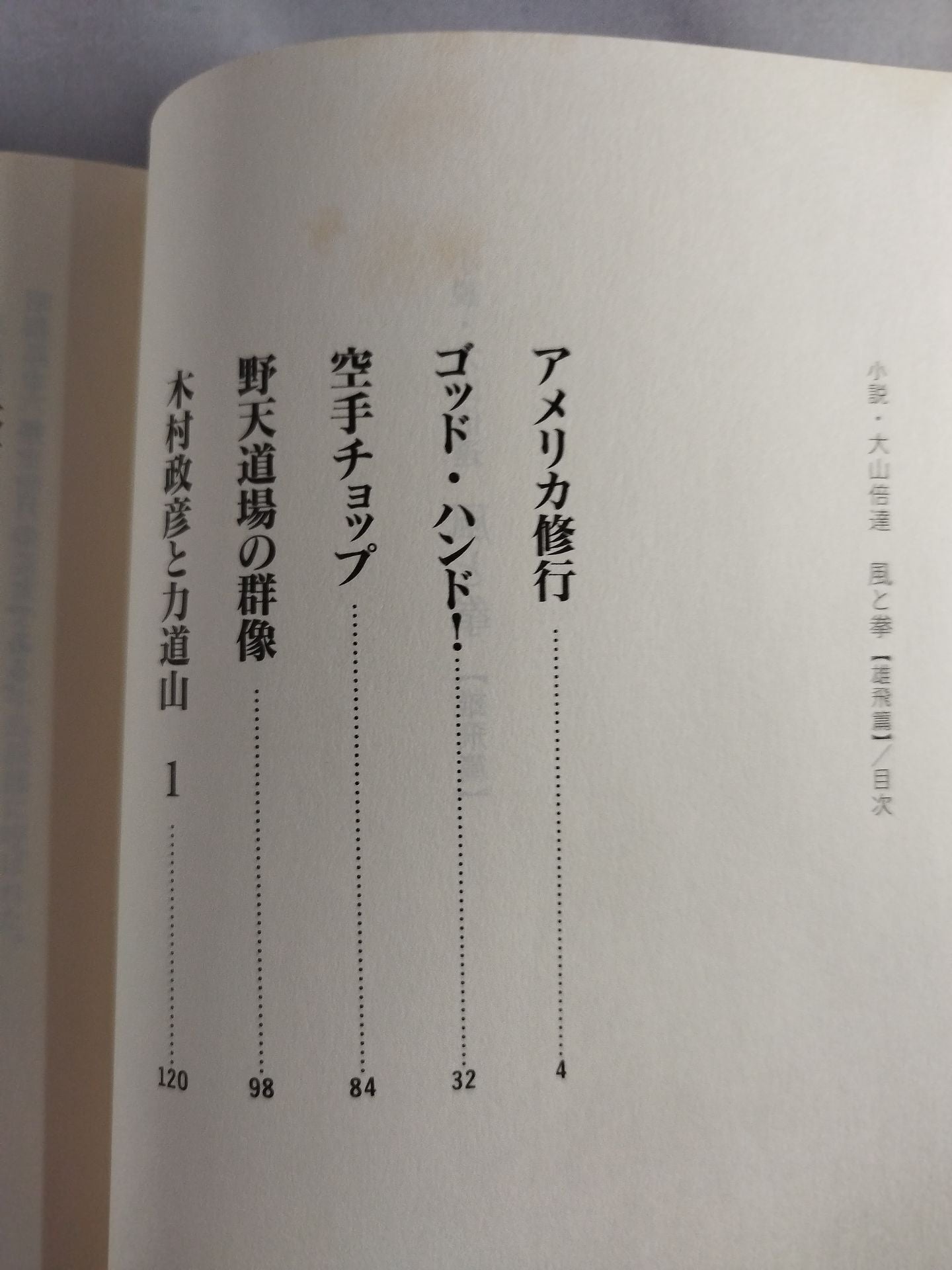 小説・大山倍達 風と拳 雄飛篇