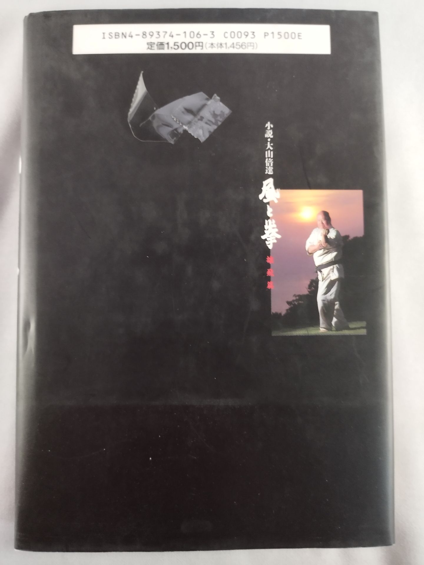 小説・大山倍達 風と拳 雄飛篇