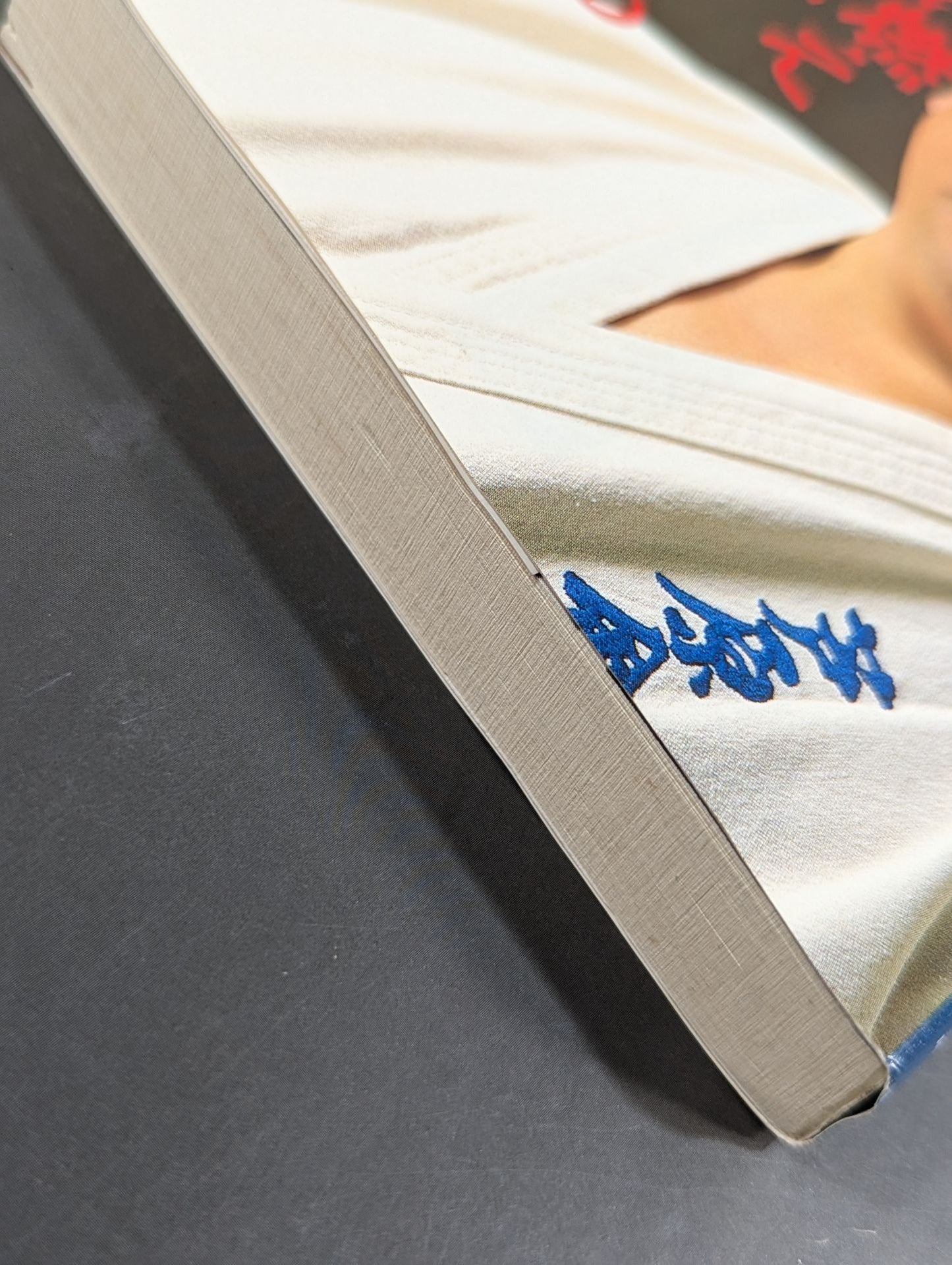 Burning in KARATE and living in KARATE Sabaki life in the 10th dan of fighting