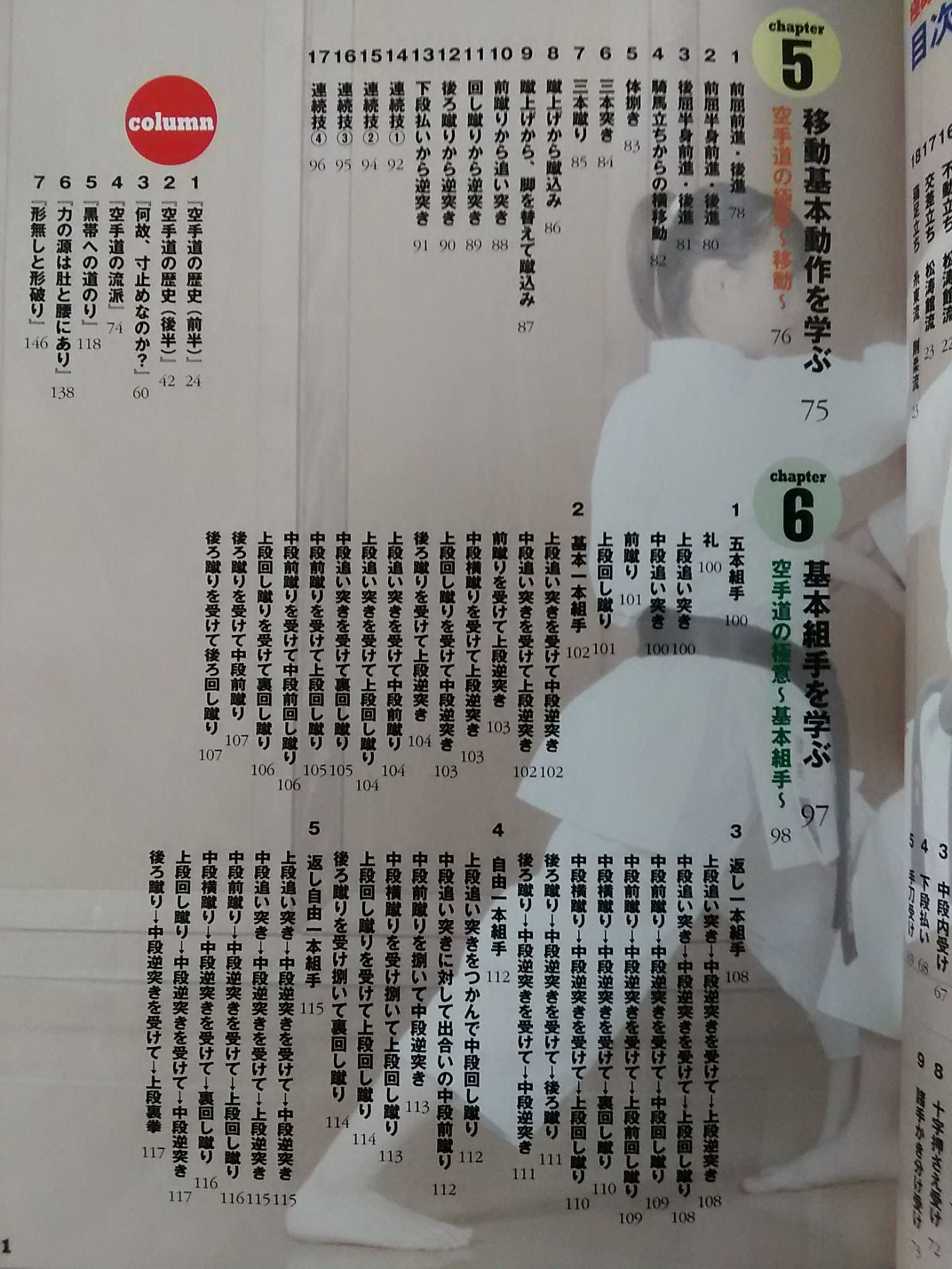 【DVD付】DVDで見て学ぶ 基本を極める! 空手道 実践トレーニング