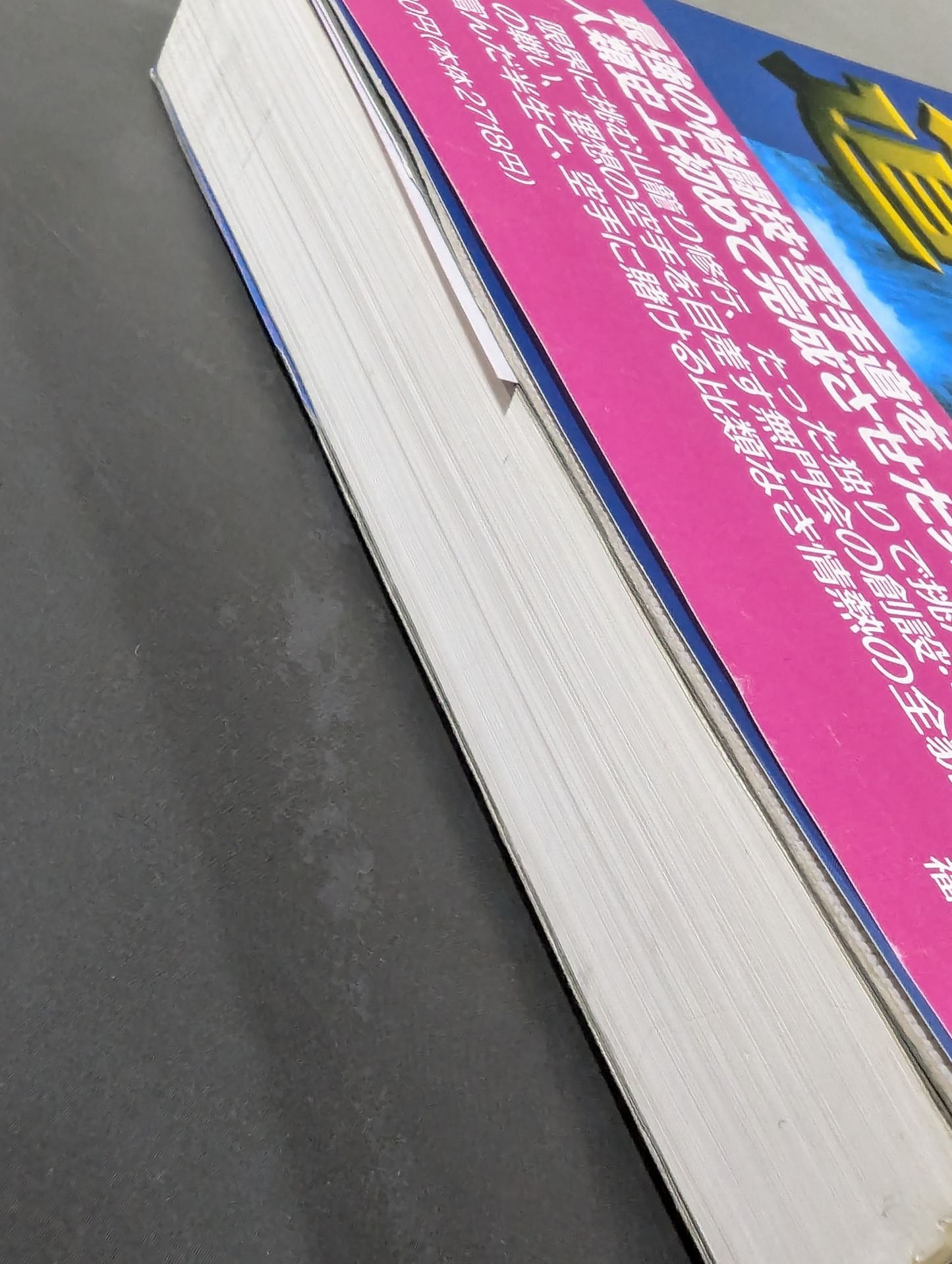 THE EXTREME WAY OF KARATE TOGASHI YOSHISHI AUTOBIOGRAPHY