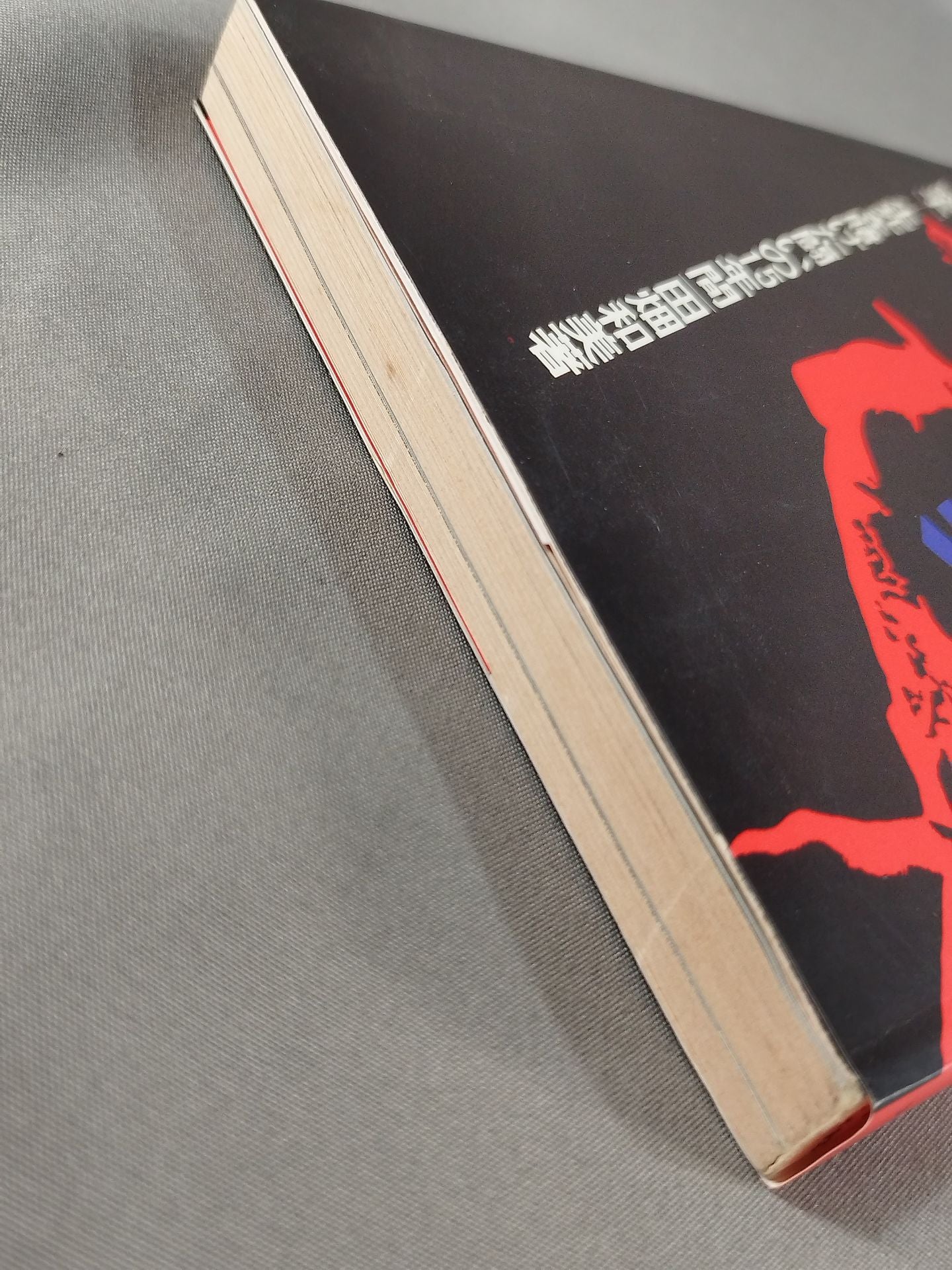 THE MAN WHO WAS CALLED A MONSTER BY AMERICANS "KARATE " 15 YEARS OF LIFE-OR-DEATH STRUGGLE