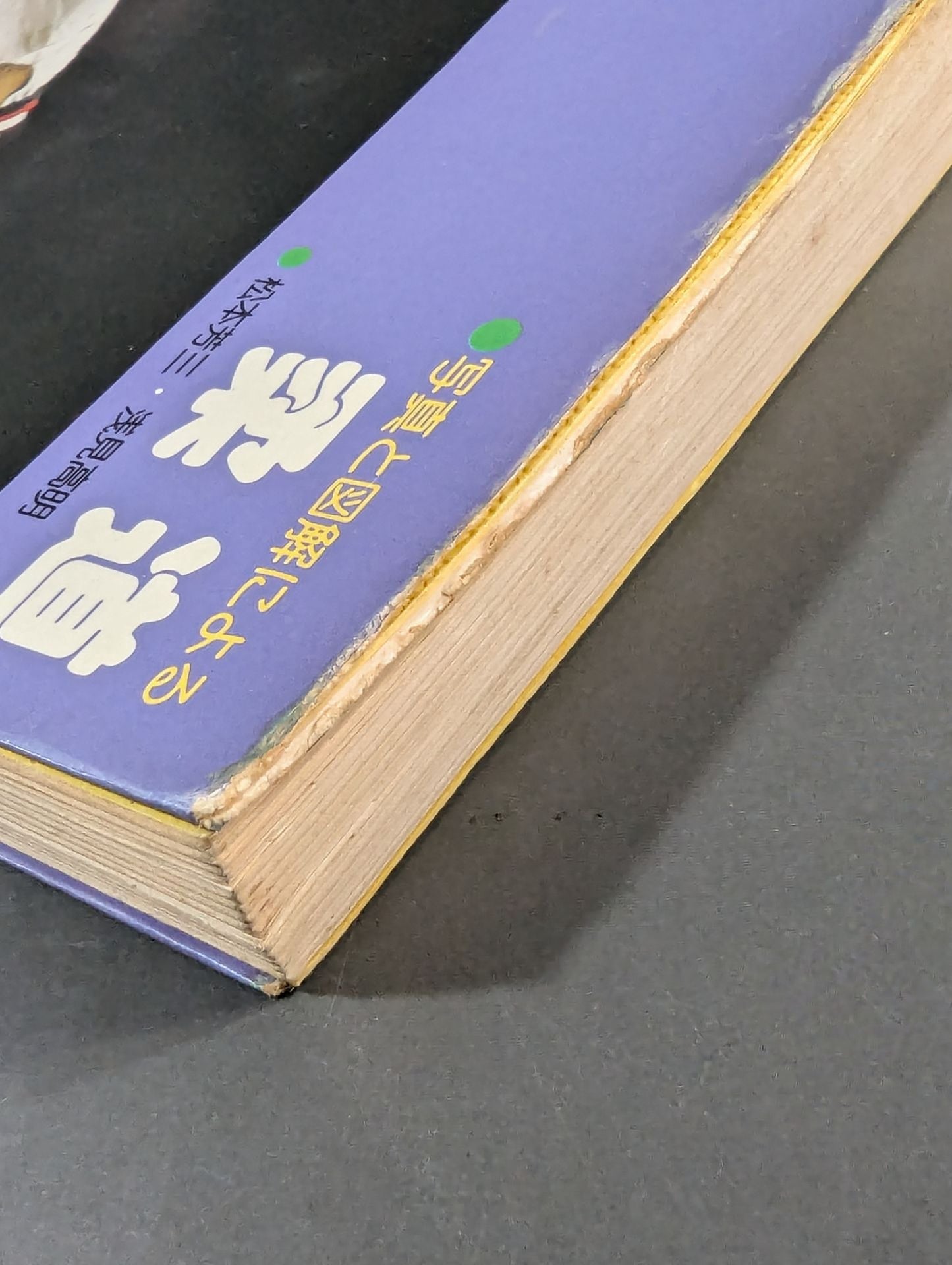 写真と図解による 柔道