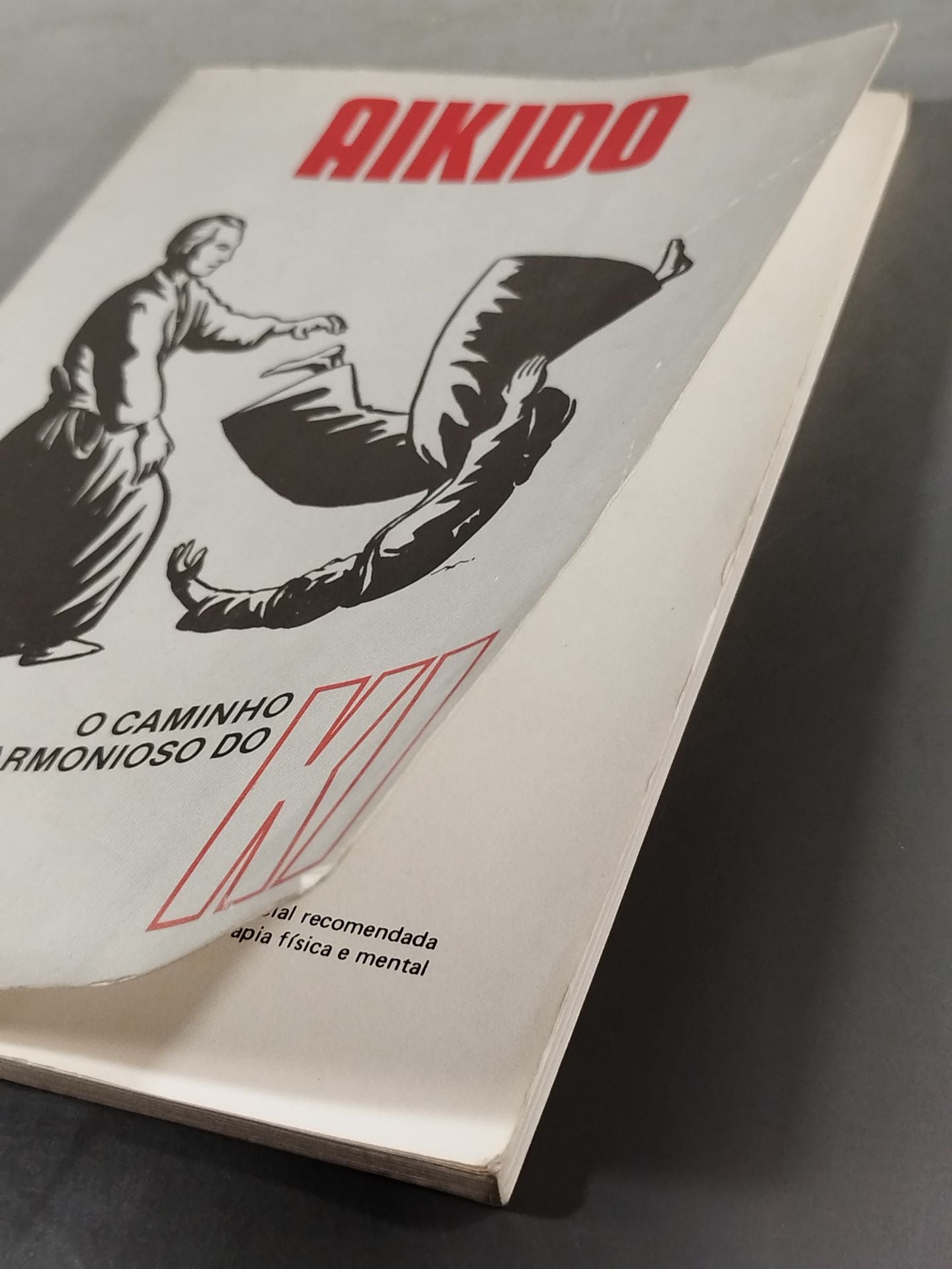 AIKIDO O CAMINHO HARMONIOSO DO KI