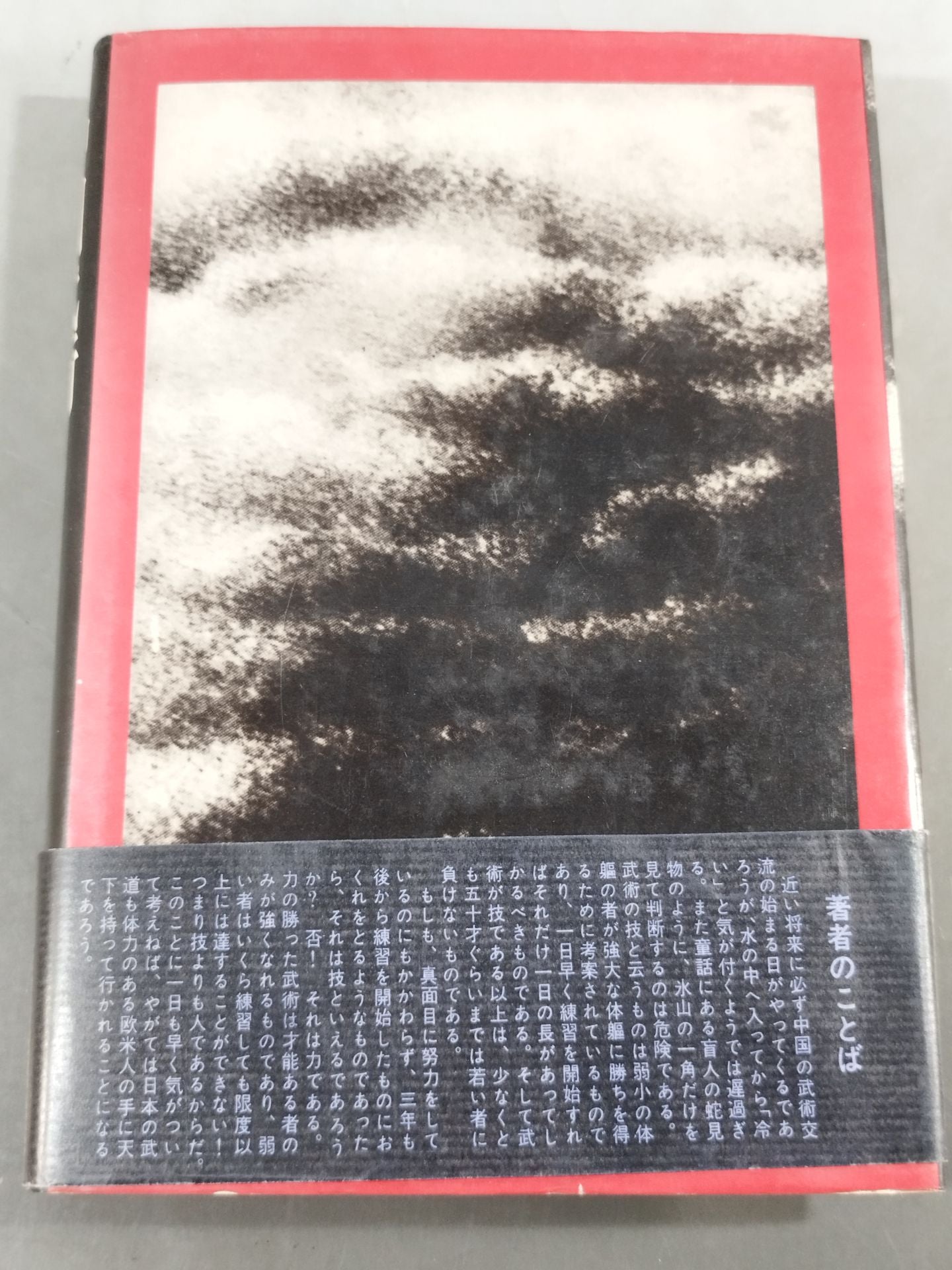 中国武術 少林拳と太極拳