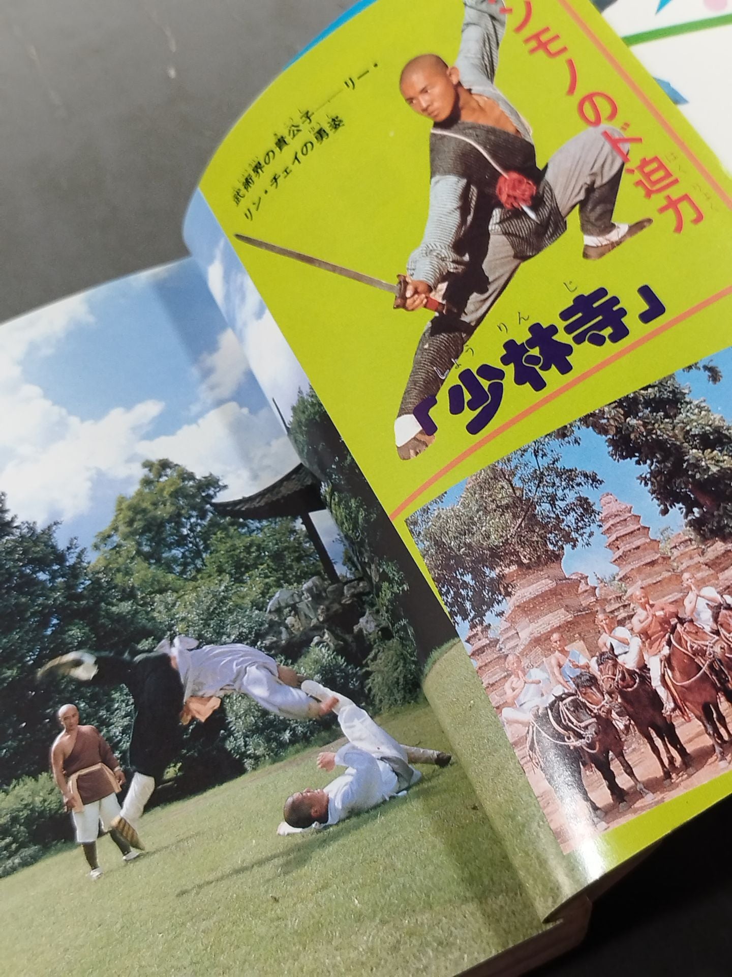 Shaolin Temple Kempo Introductory Encyclopedia