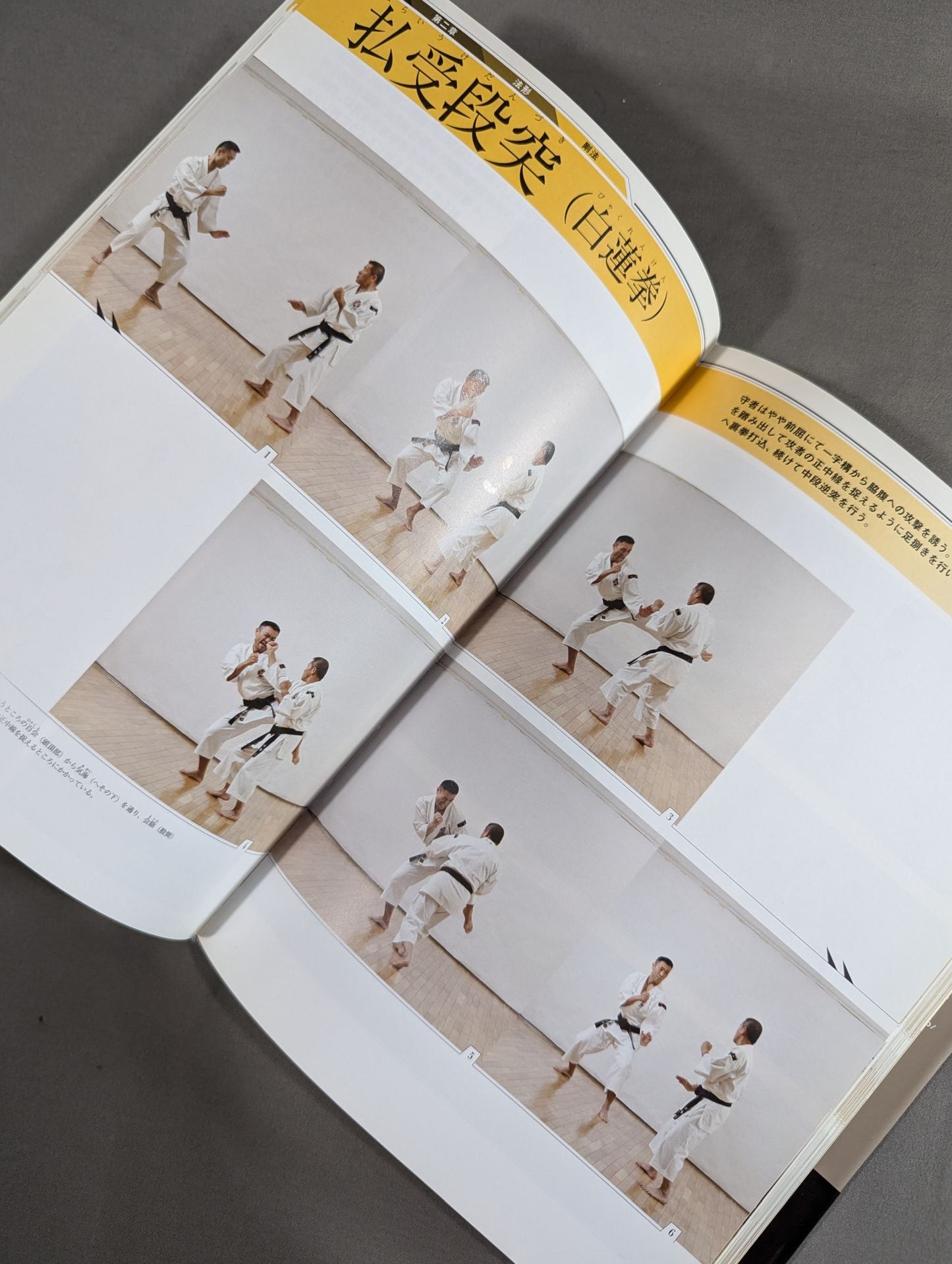 Shaolin Kempo The value of love, the ideal of power.