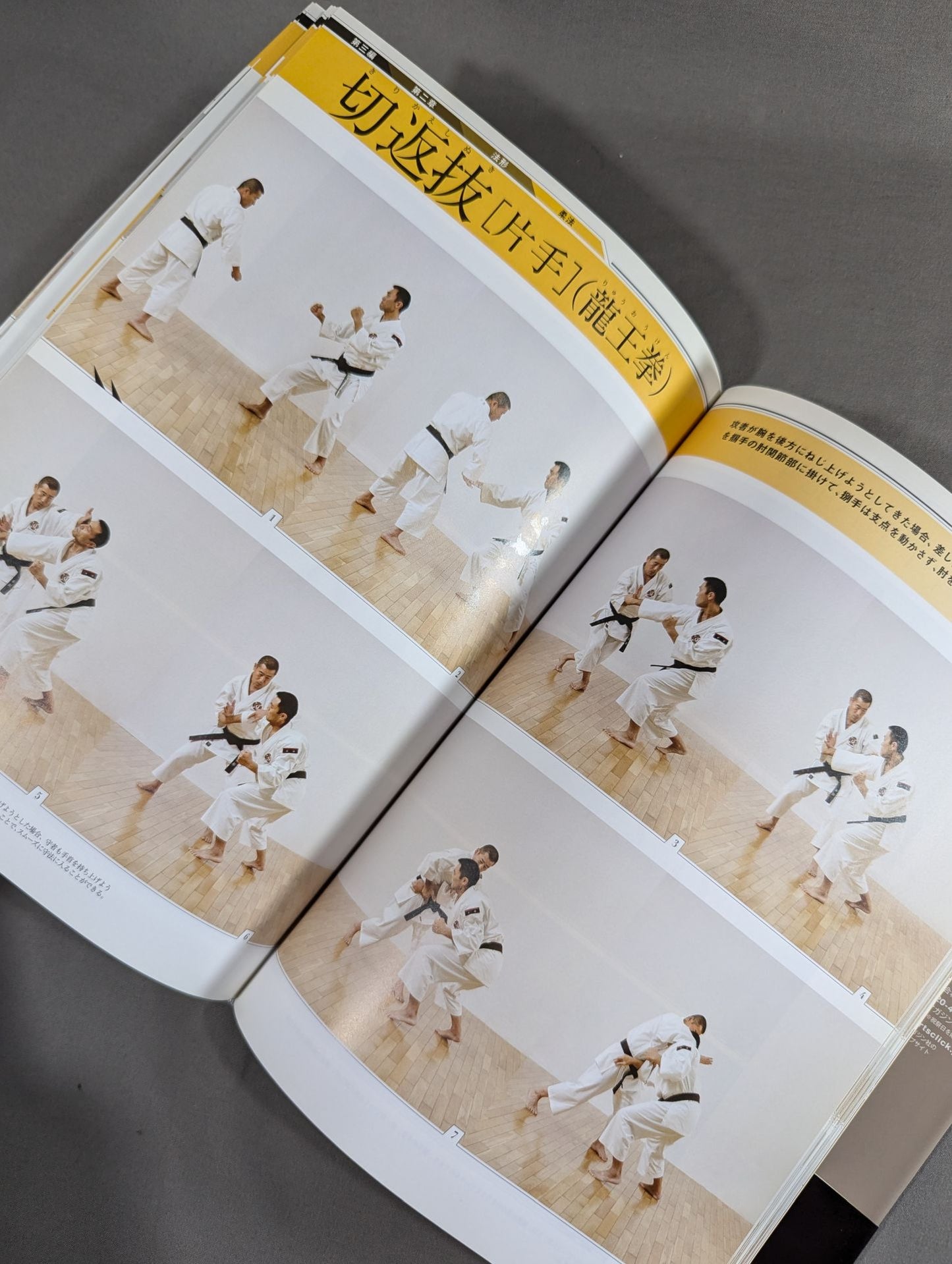 Shaolin Kempo The value of love, the ideal of power.